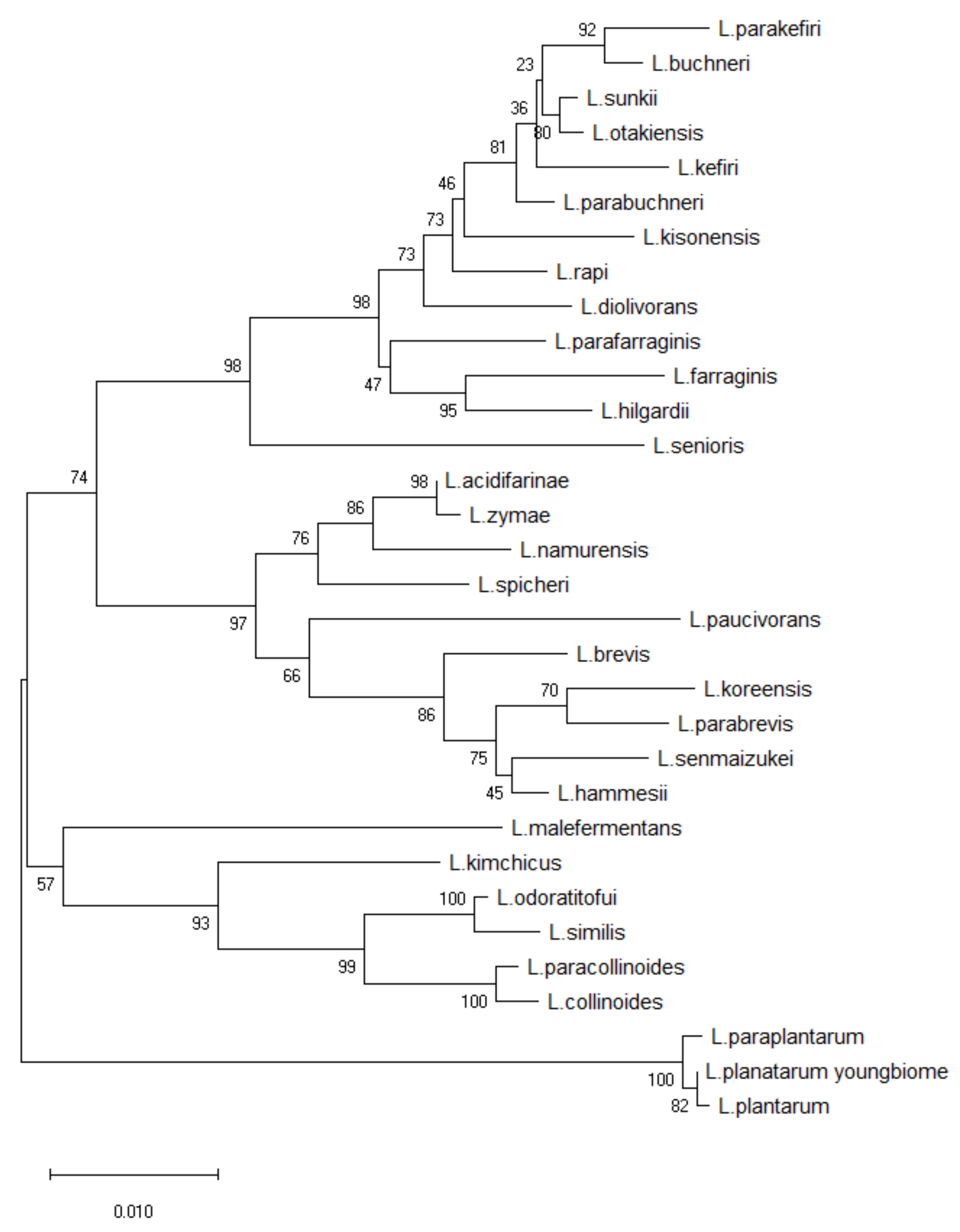Cimb 44 00036 g002 550