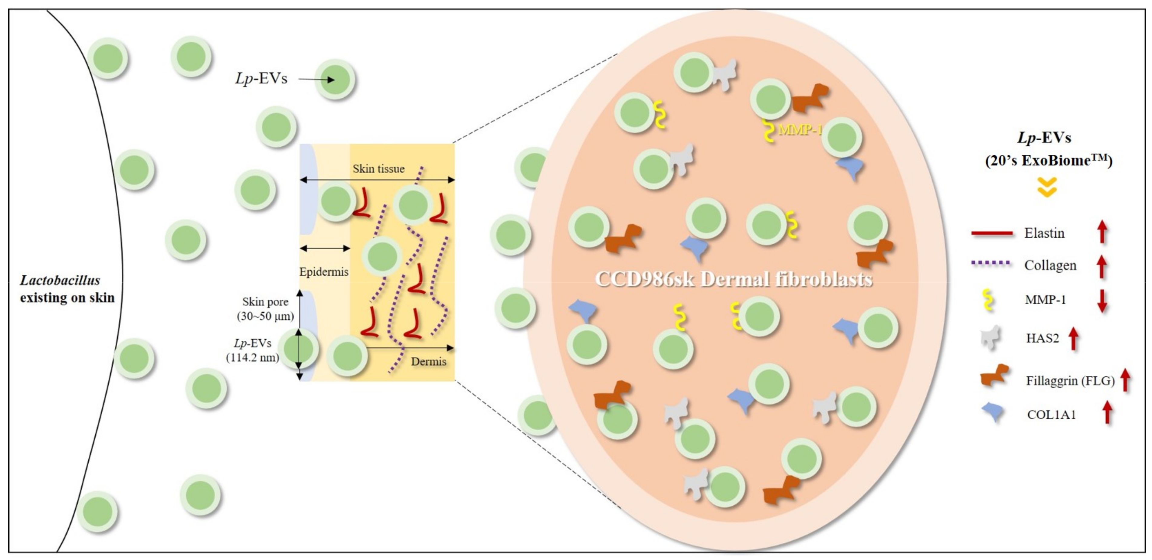 Cimb 44 00036 g009 550