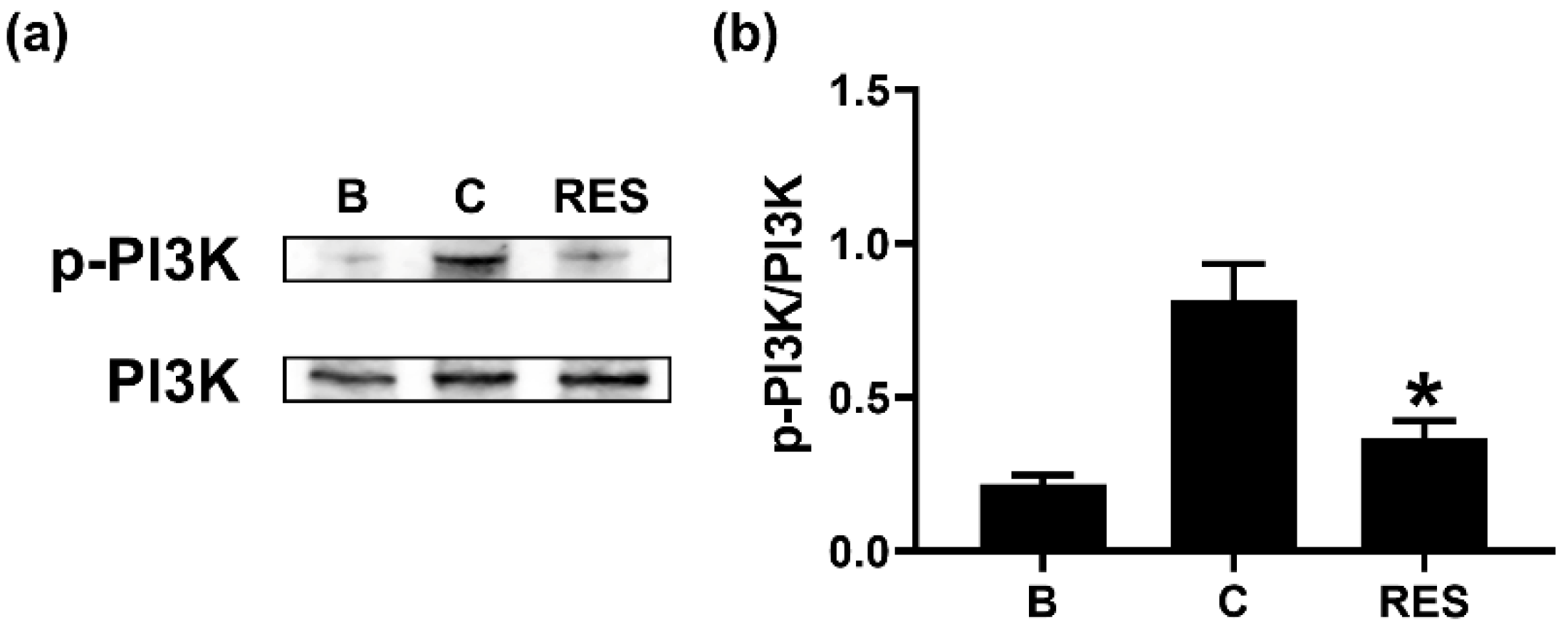 Cimb 44 00037 g004 550