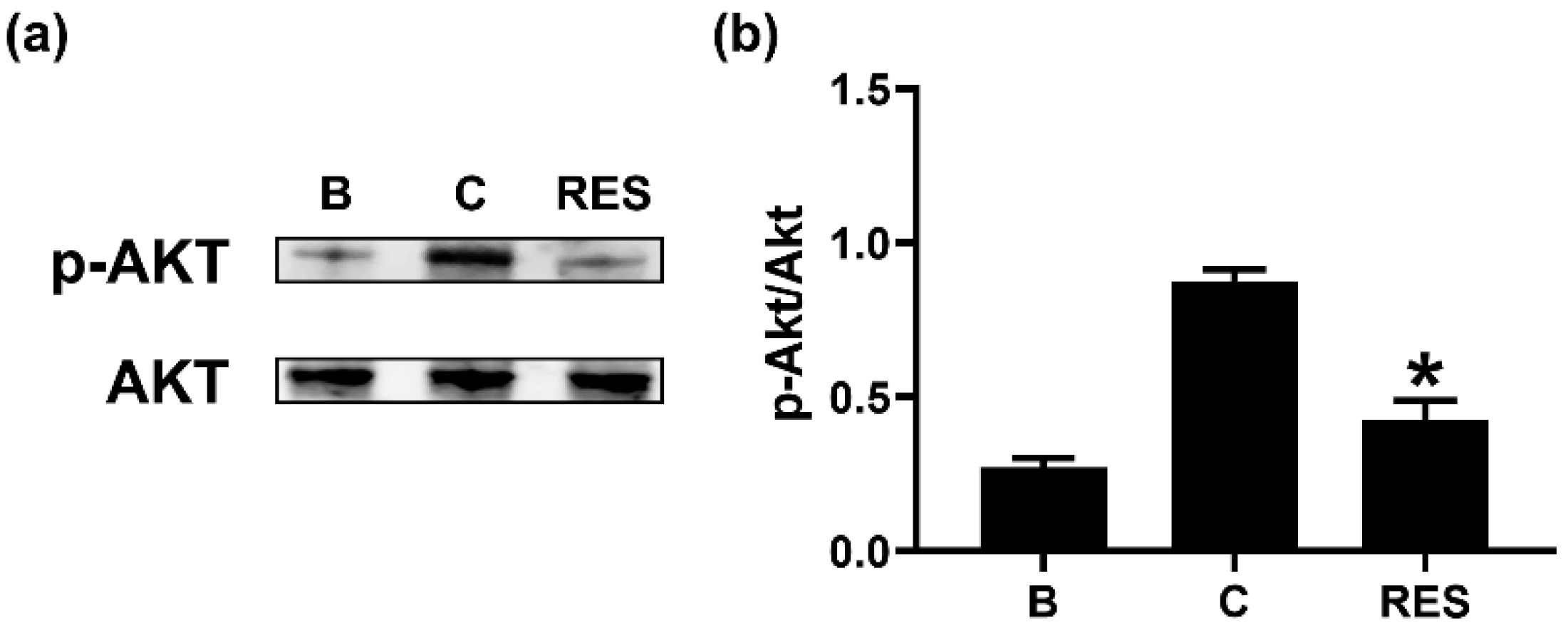 Cimb 44 00037 g005 550