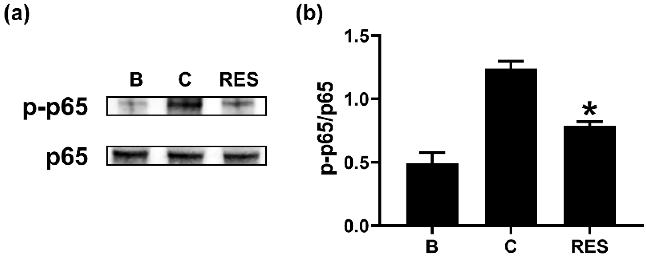 Cimb 44 00037 g006 550