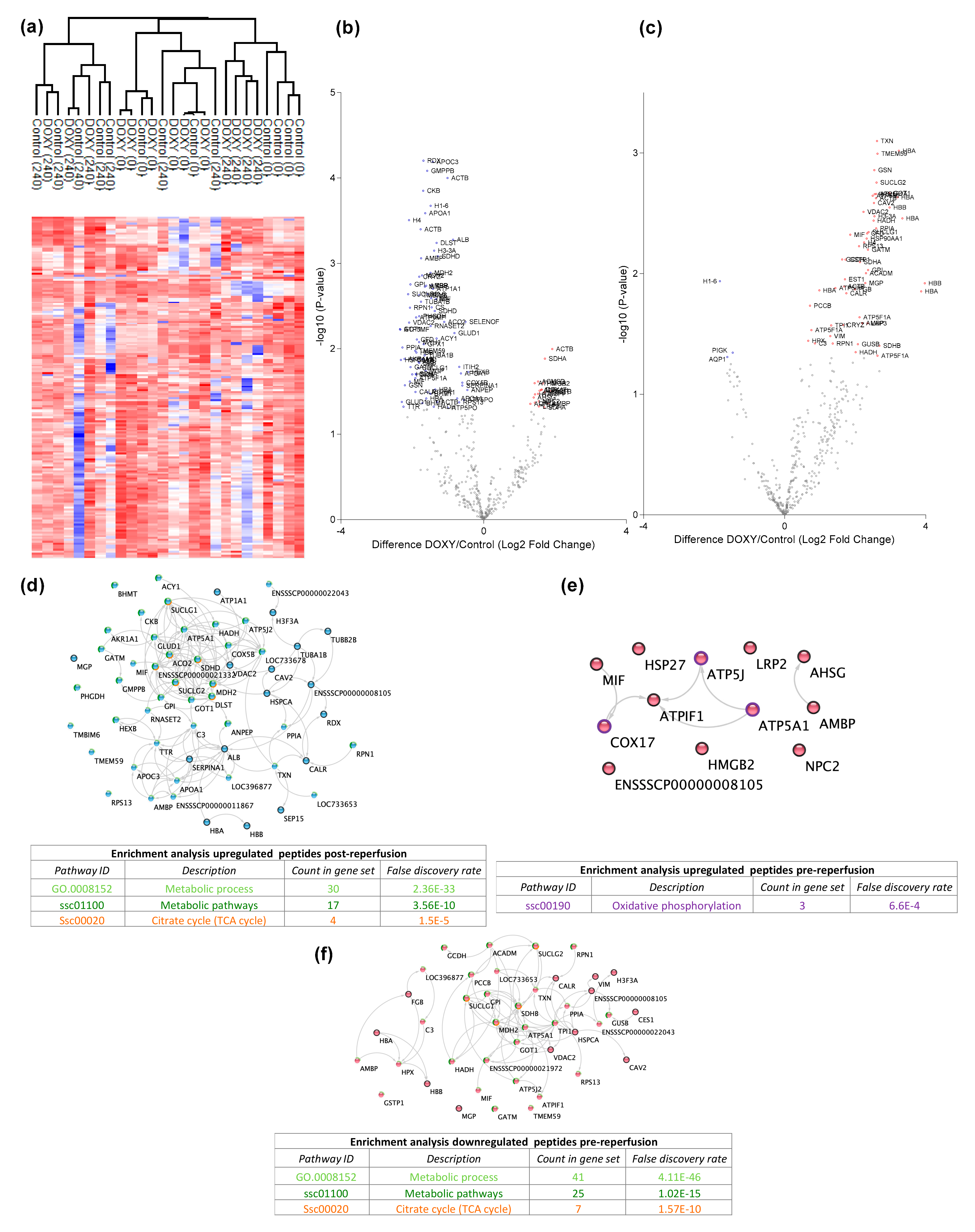 Cimb 44 00039 g003 550