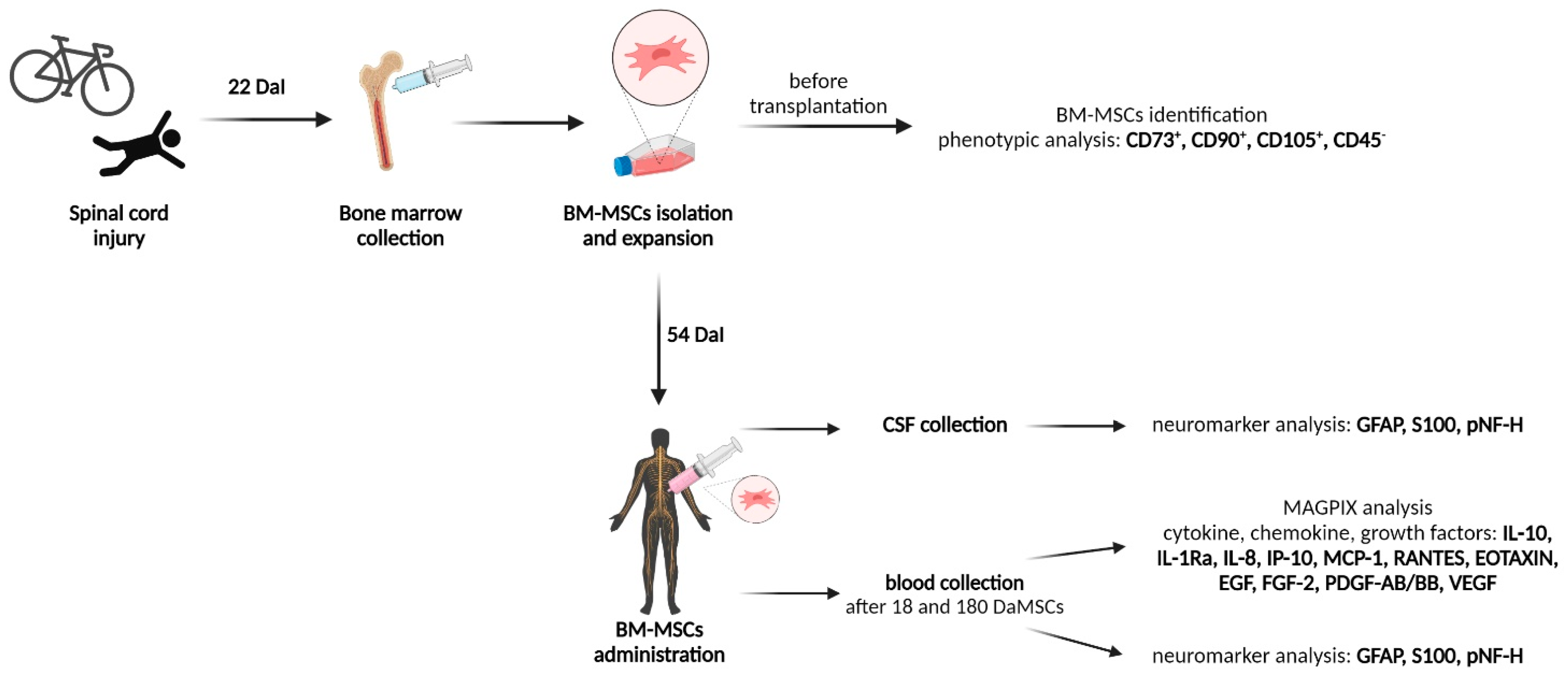 CIMB Free Full Text Mesenchymal Stem Cells in the Treatment of