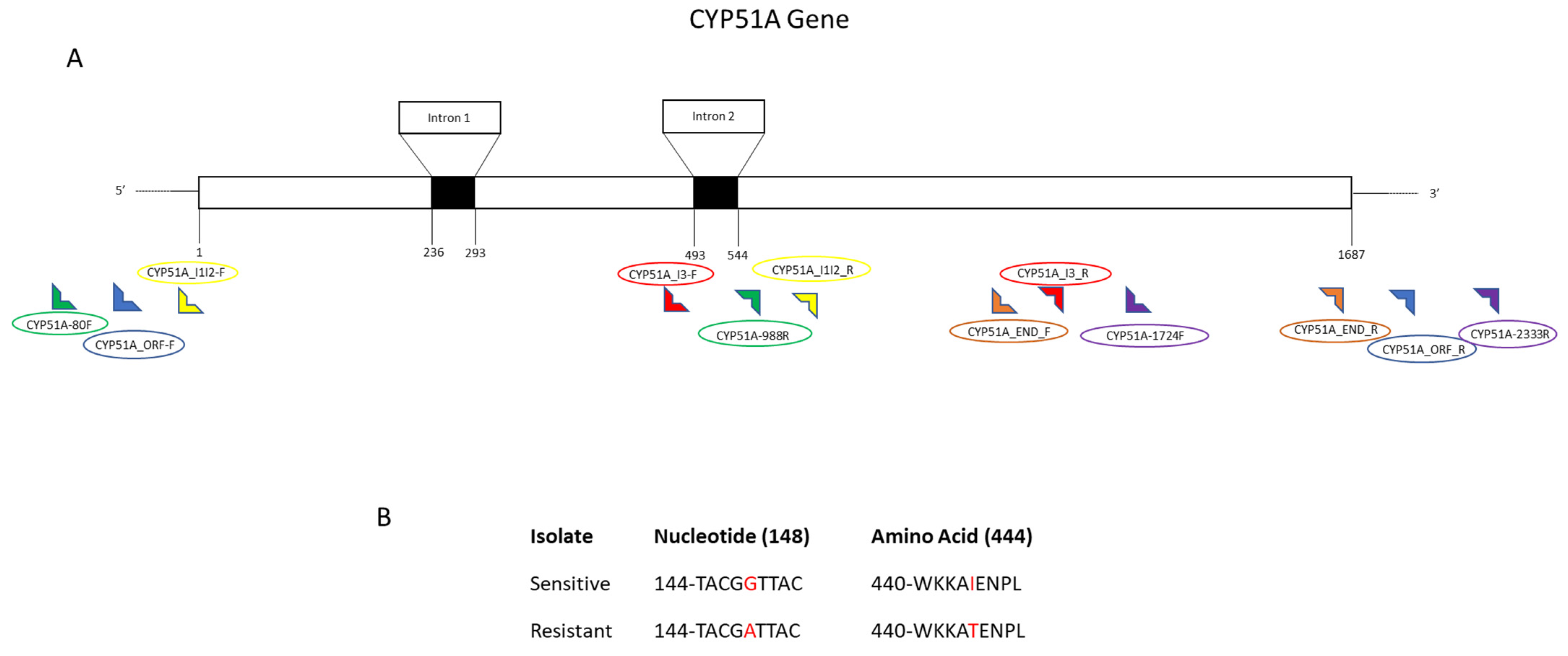 Cimb 44 00047 g004 550