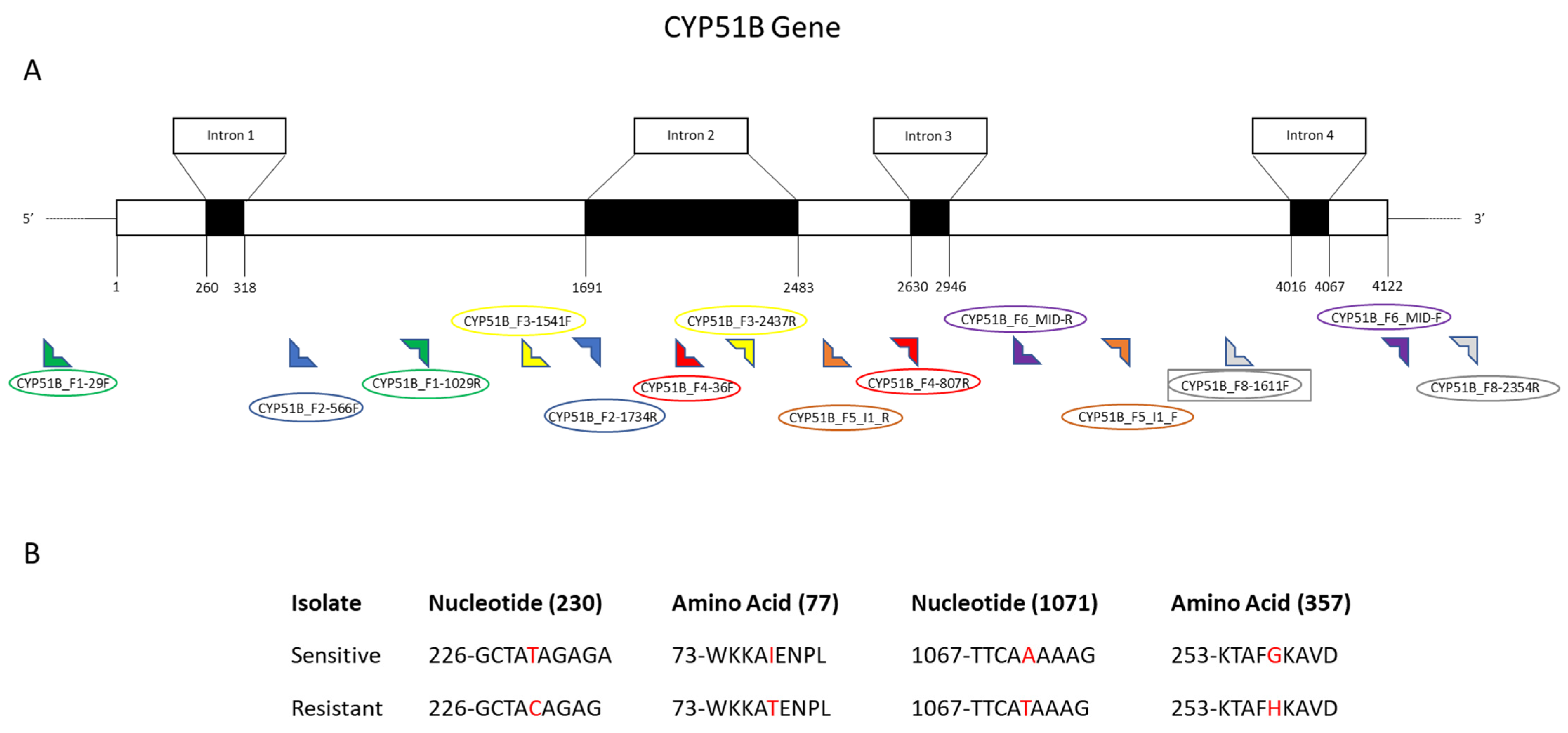 Cimb 44 00047 g005 550