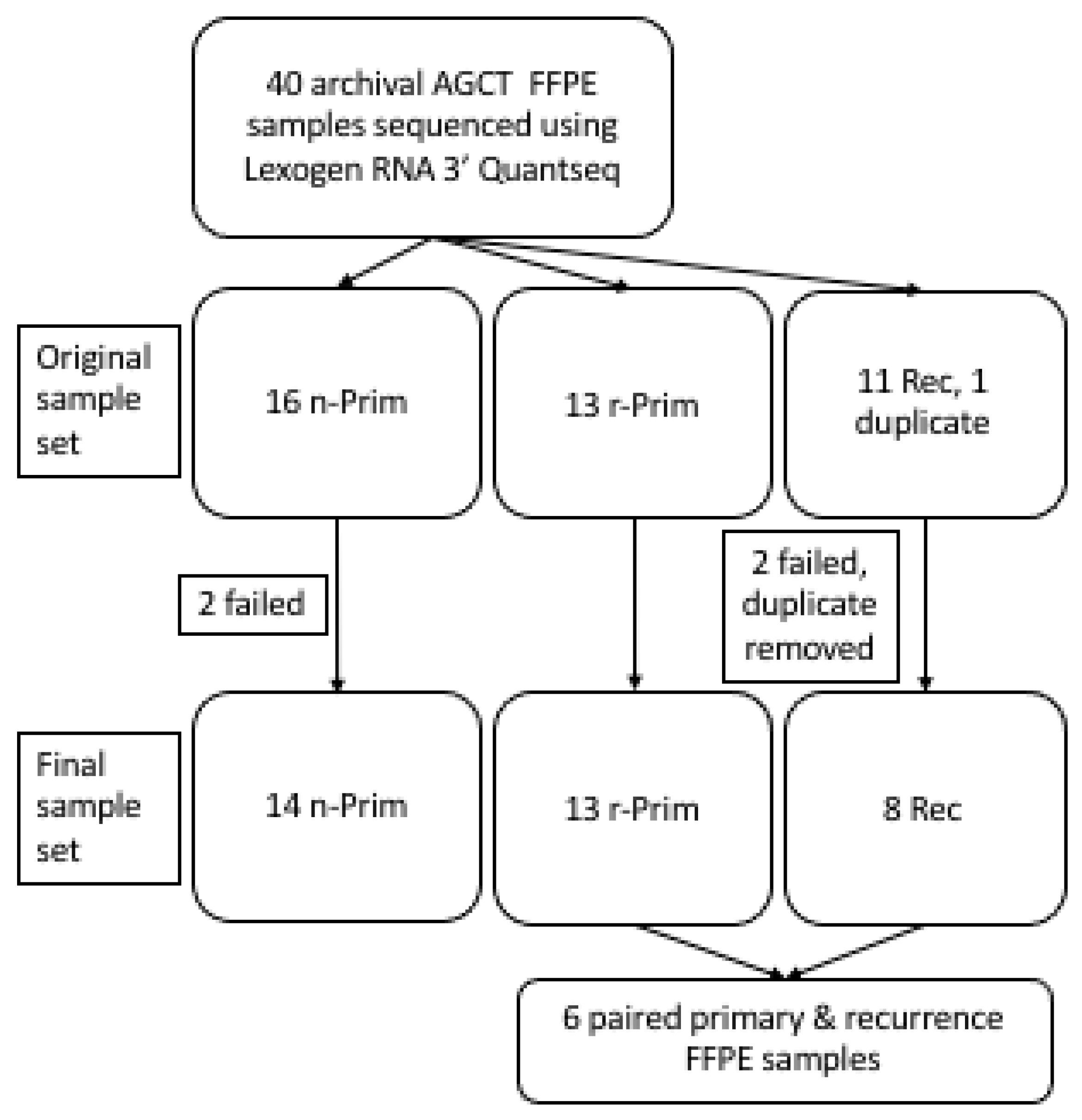 Cimb 44 00048 g001 Cimb 44 00048 g001