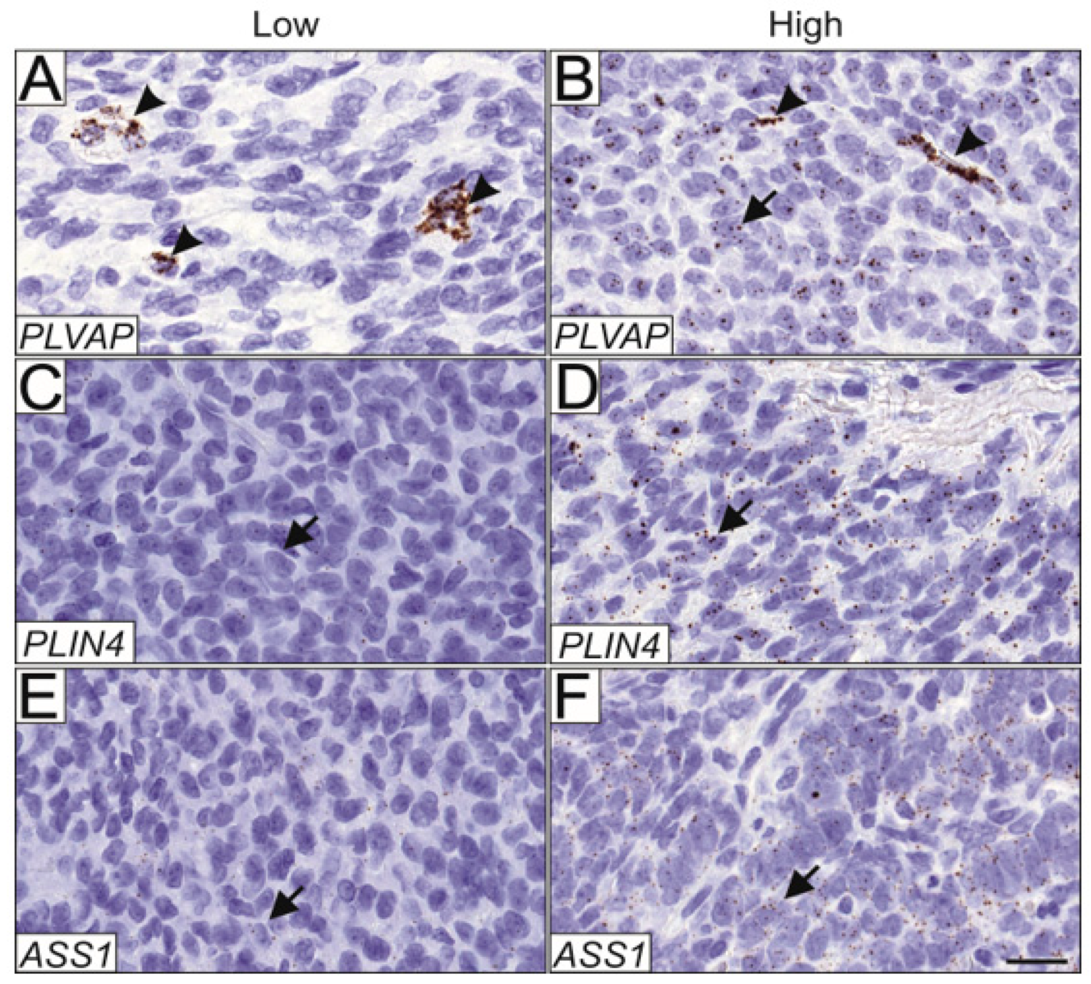 Cimb 44 00048 g004 Cimb 44 00048 g004