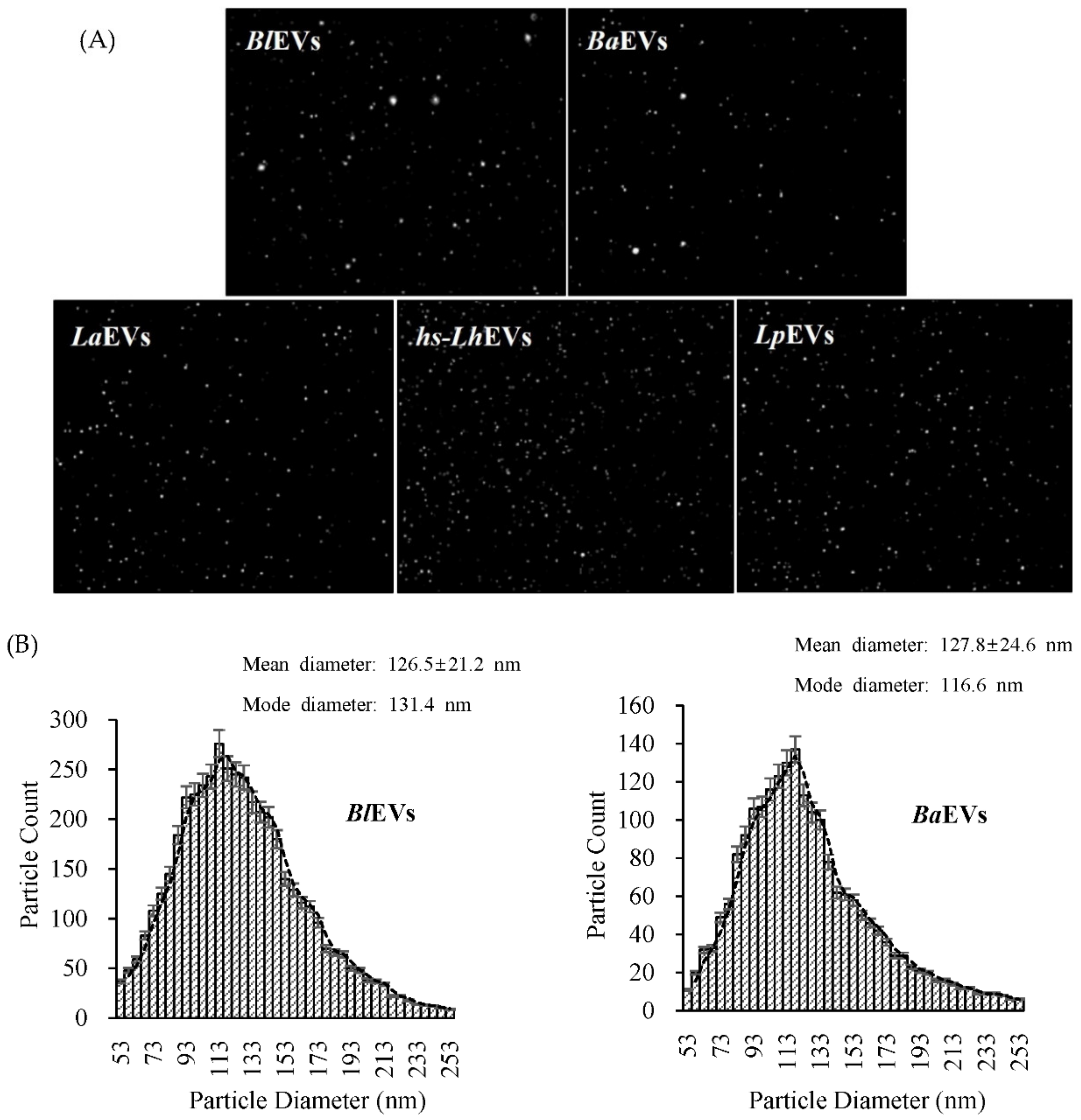 Cimb 44 00058 g002a 550