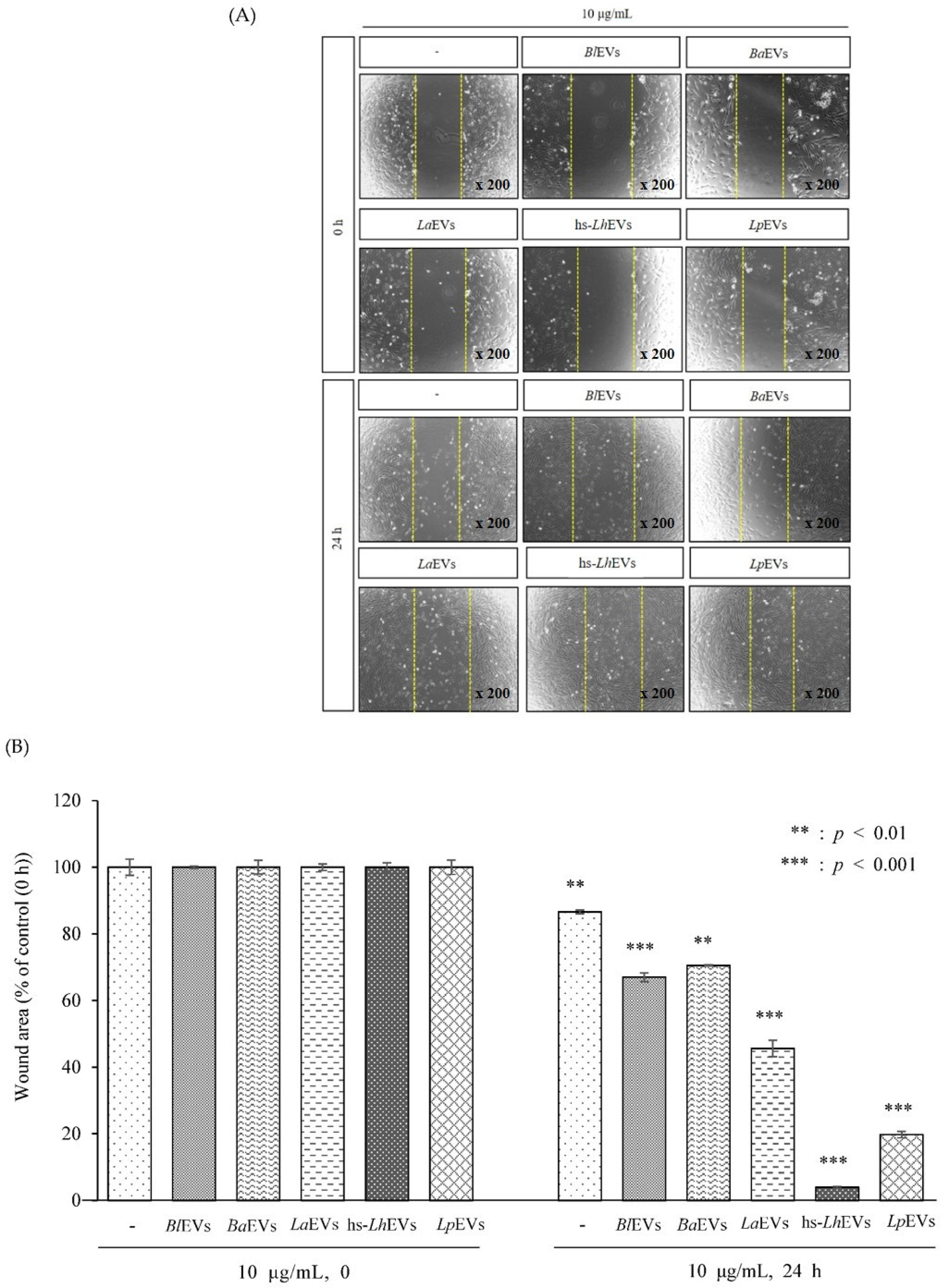 Cimb 44 00058 g003a 550