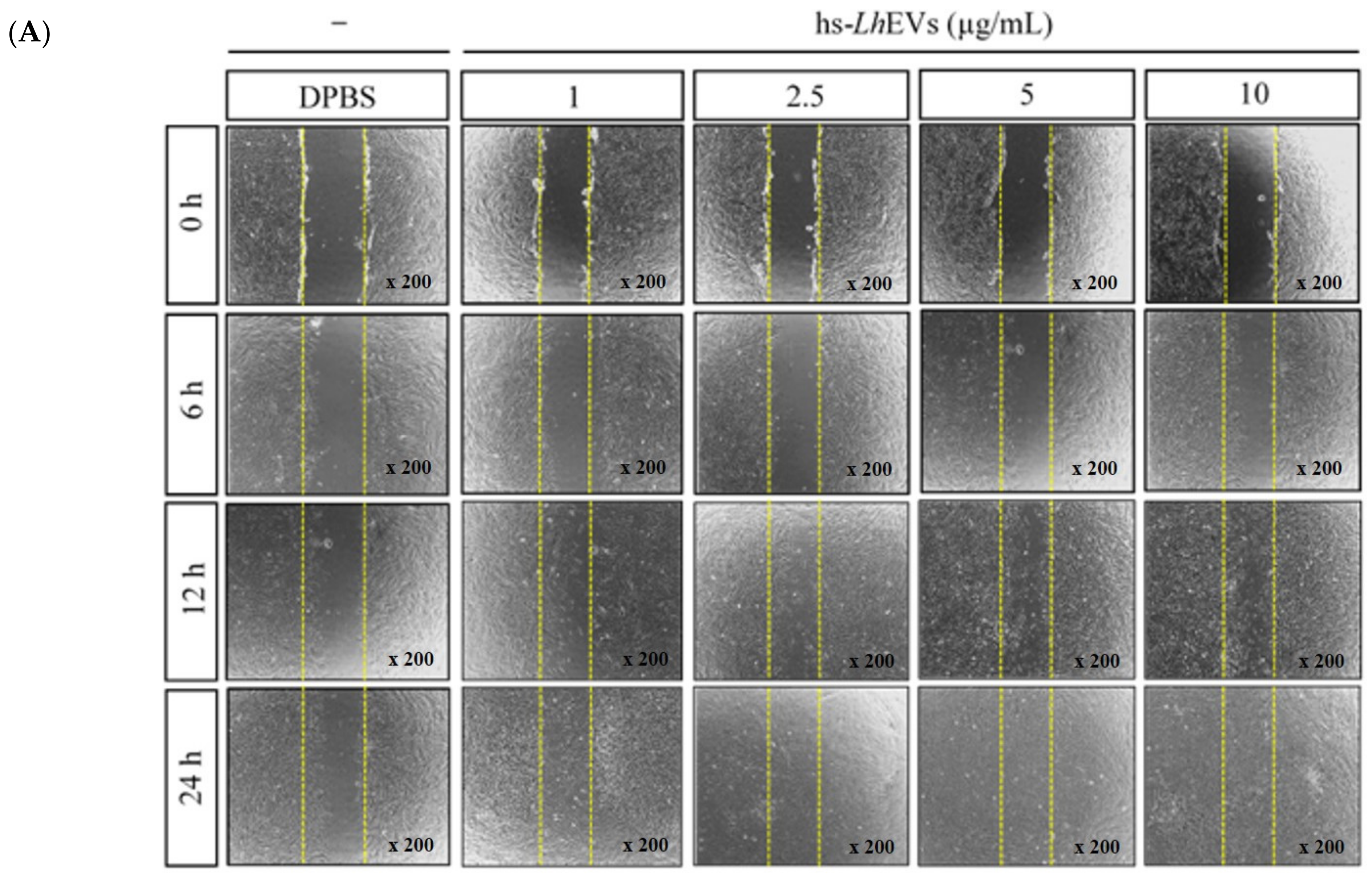 Cimb 44 00058 g004a 550