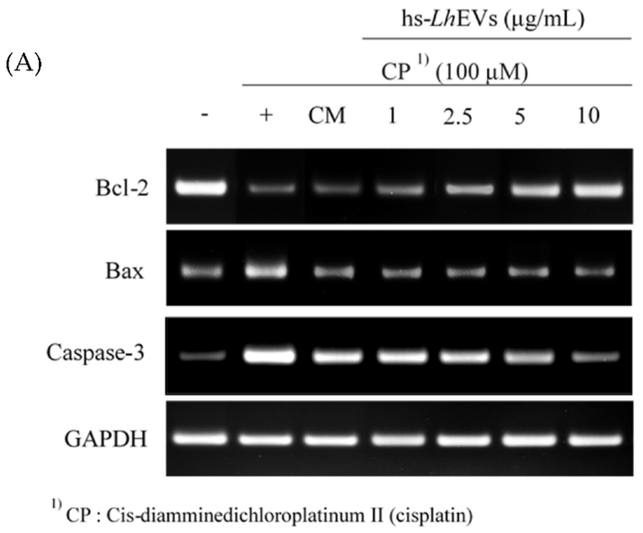 Cimb 44 00058 g006a 550