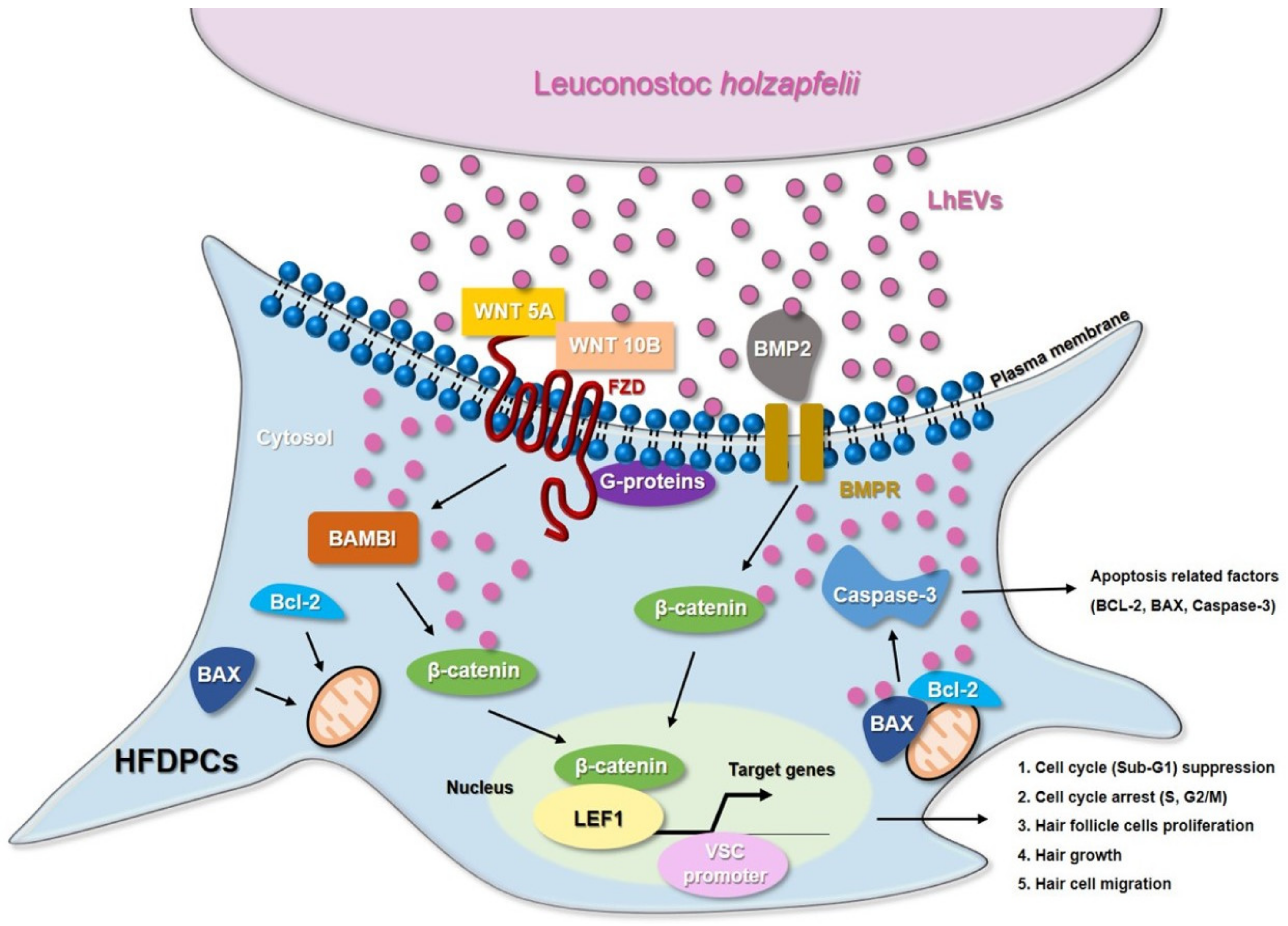 Cimb 44 00058 g008 550