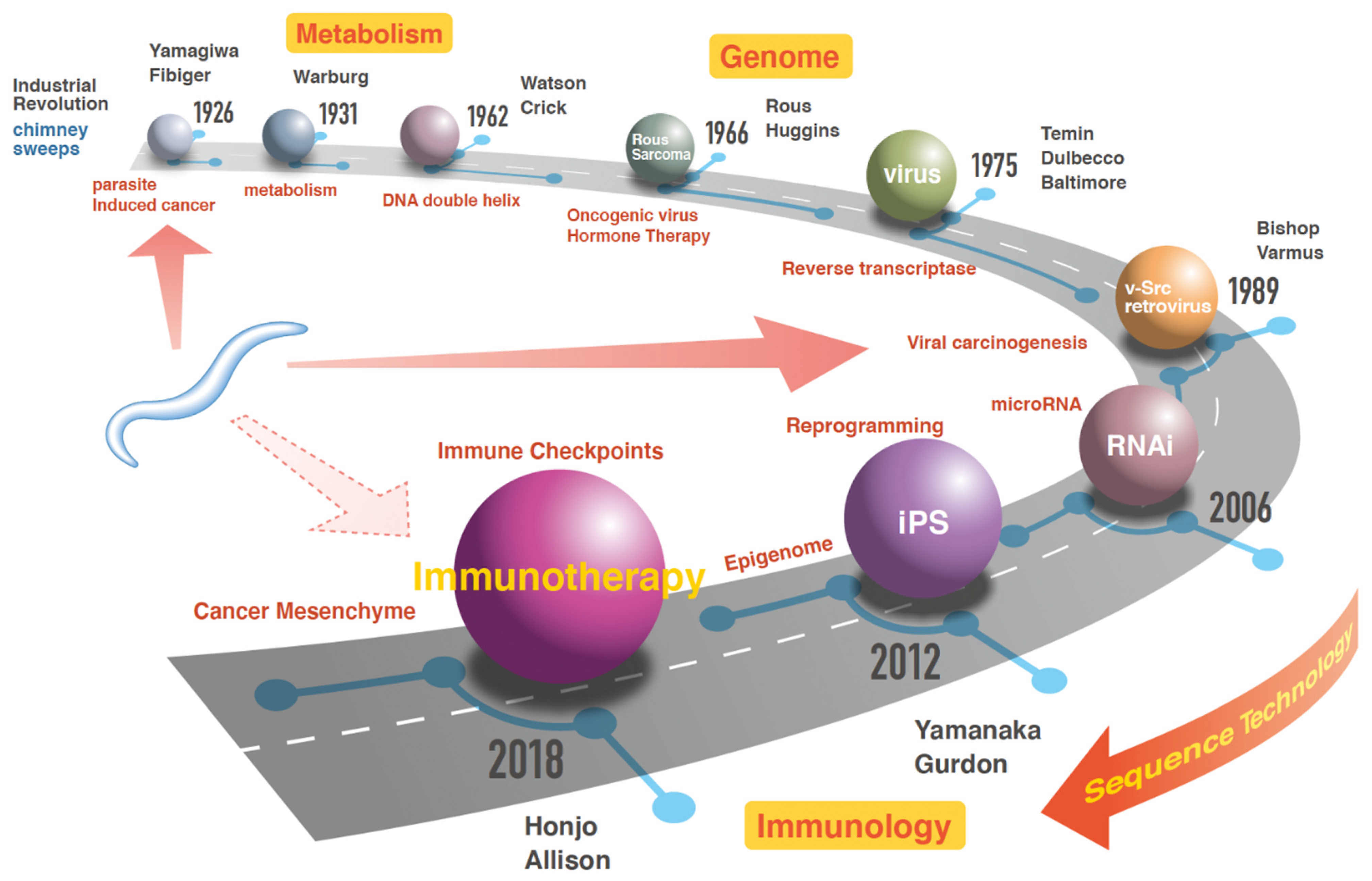 Cimb 44 00065 g001 550