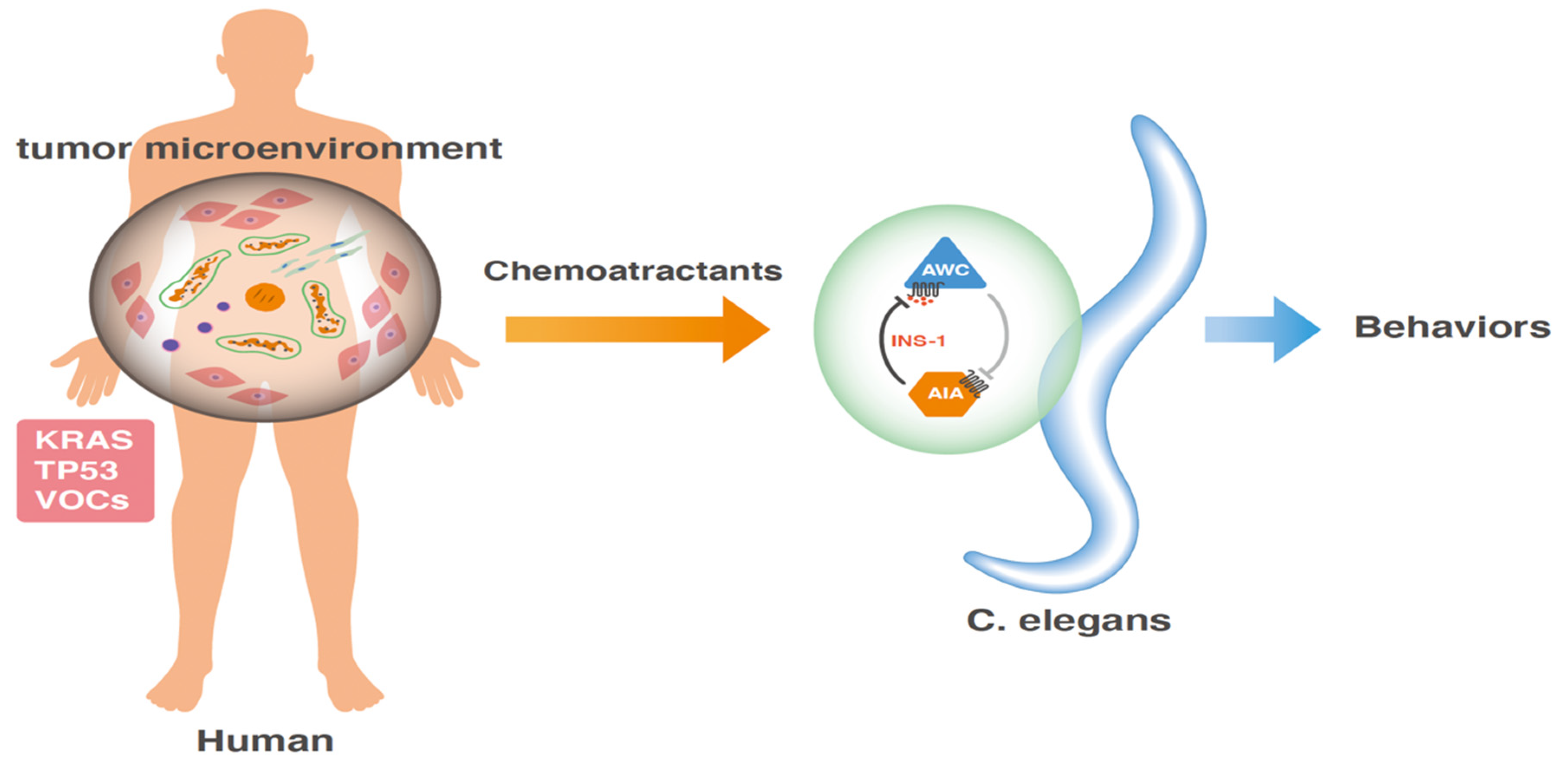 Cimb 44 00065 g002 550