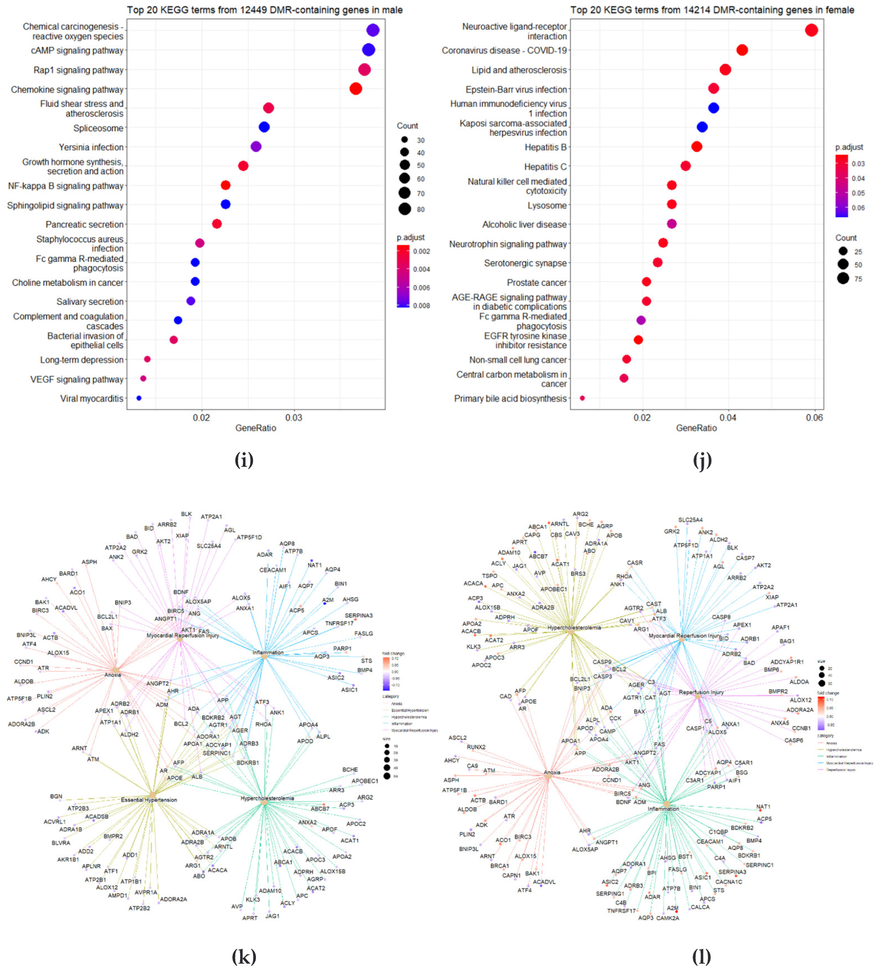 Cimb 44 00075 g003c 550