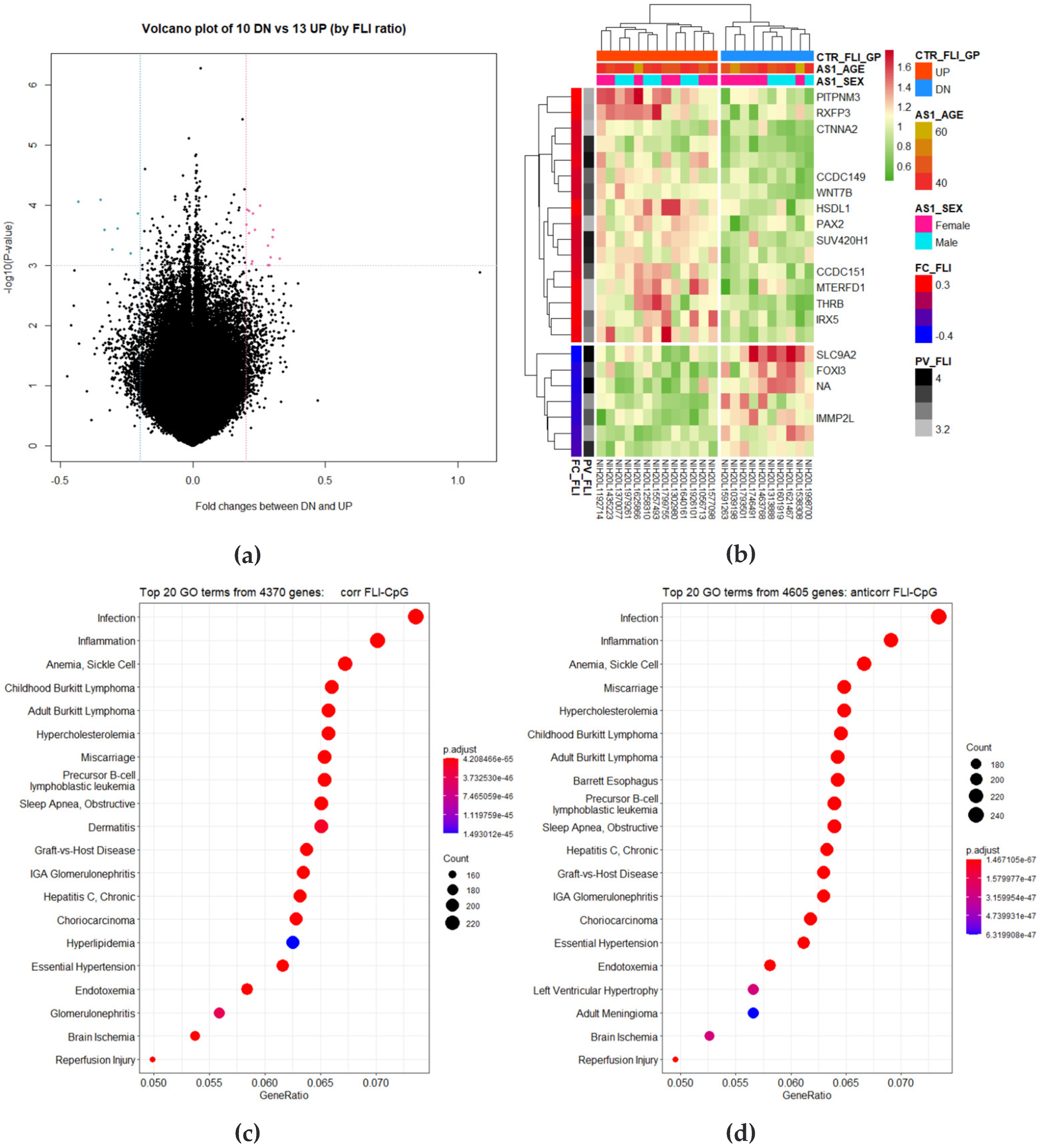 Cimb 44 00075 g005a 550