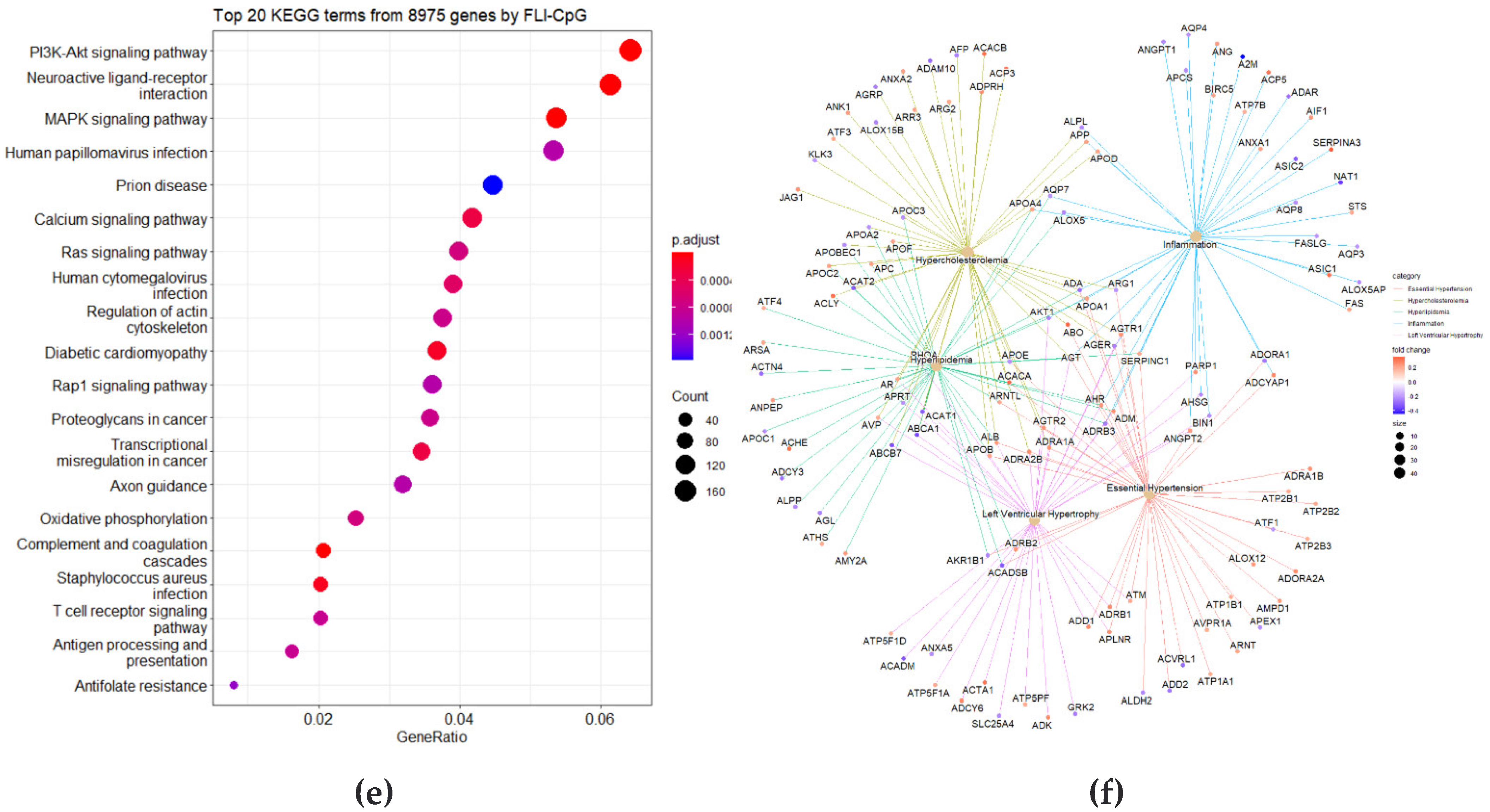 Cimb 44 00075 g005b 550