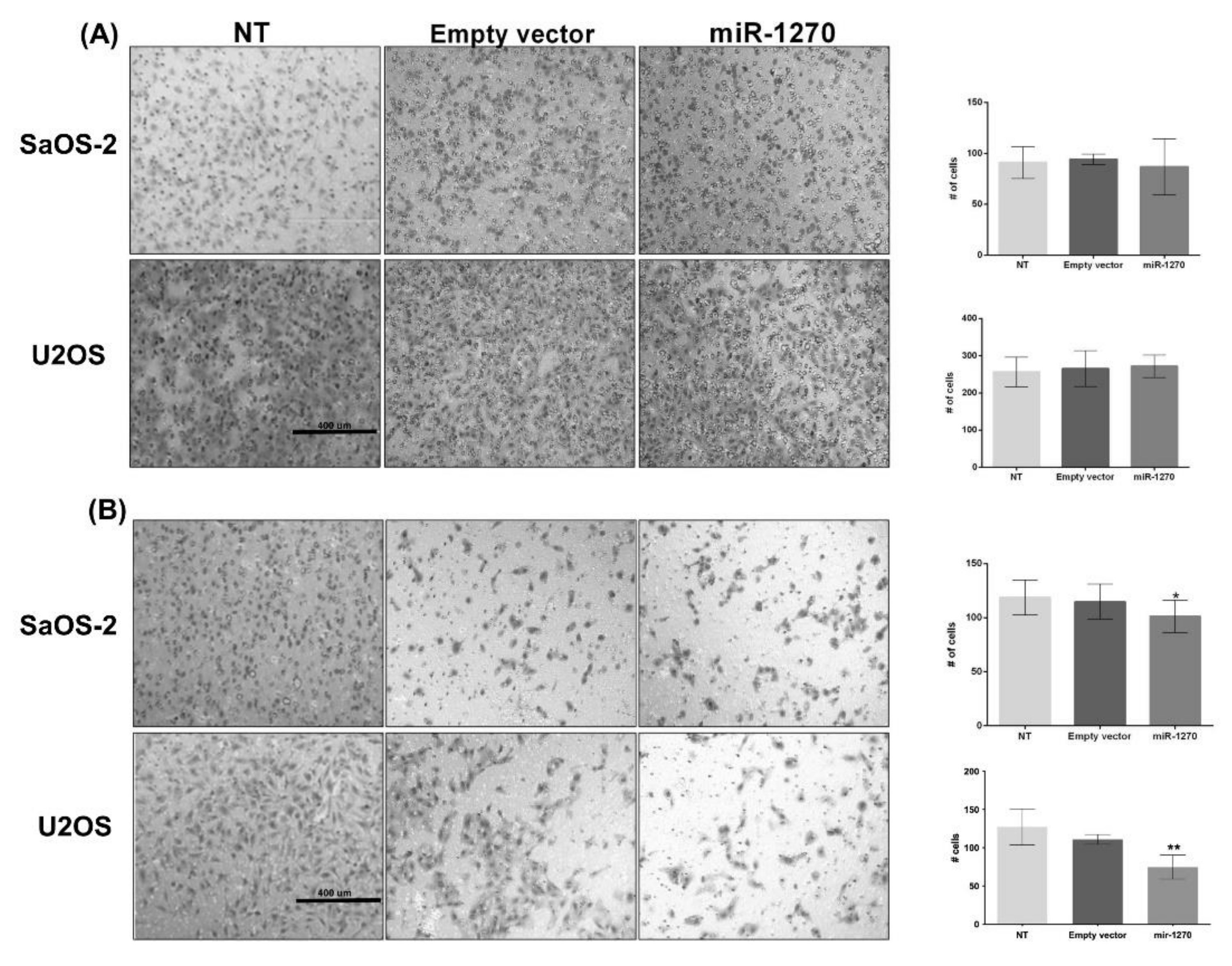 Cimb 44 00077 g004 550