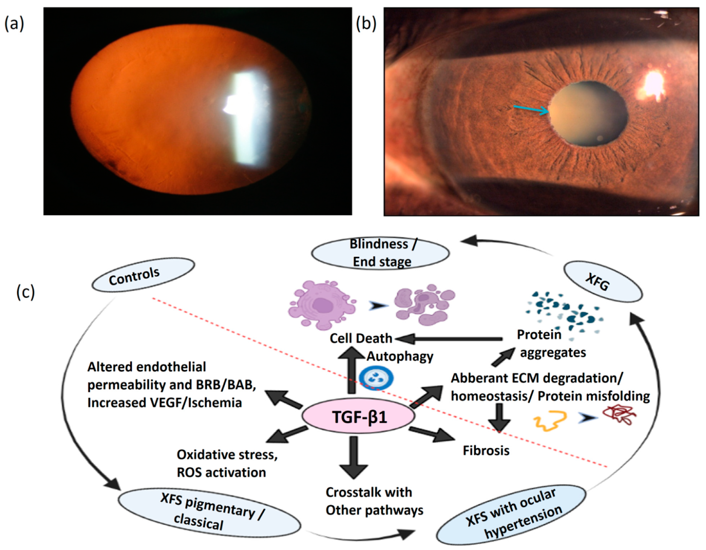 Cimb 44 00078 g001 Cimb 44 00078 g001