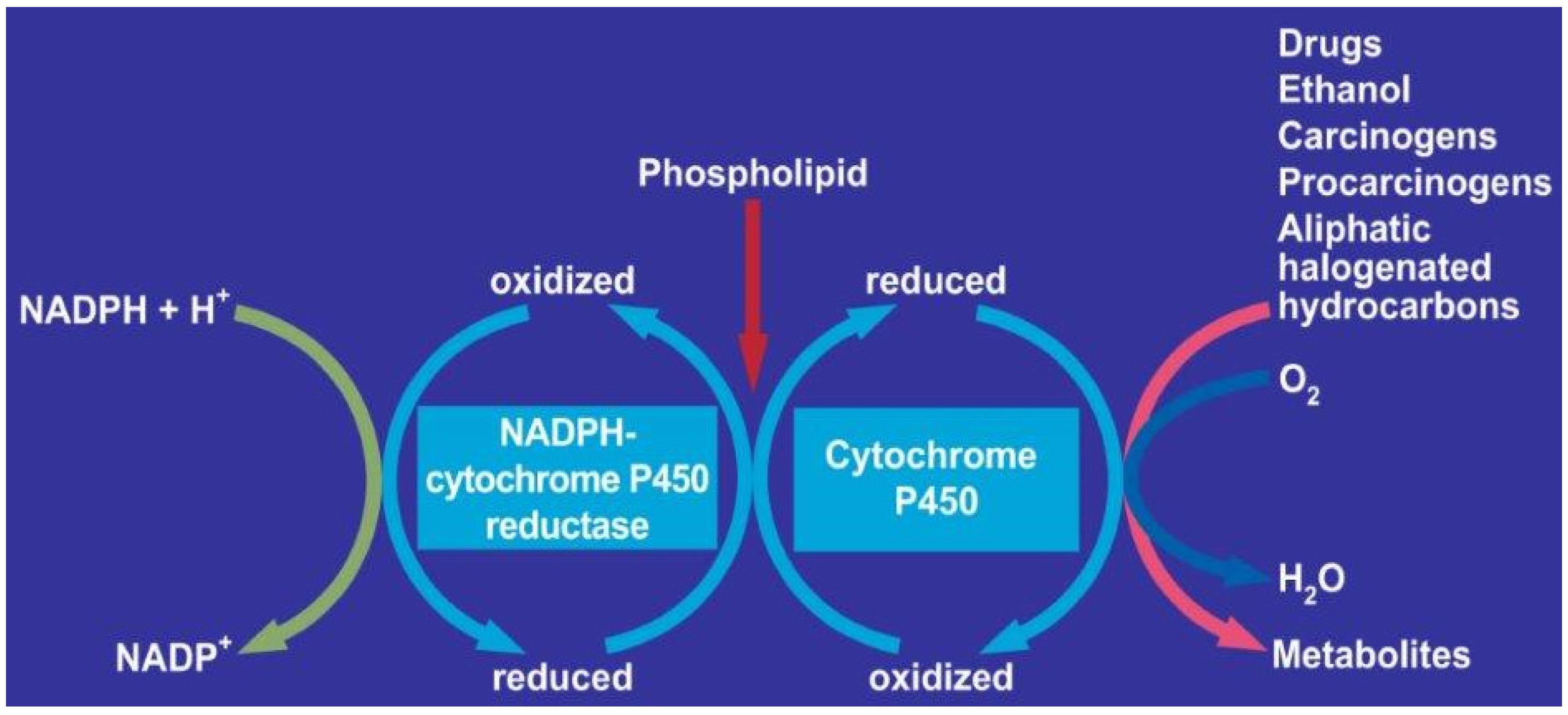 Cimb 44 00087 g002 Cimb 44 00087 g002