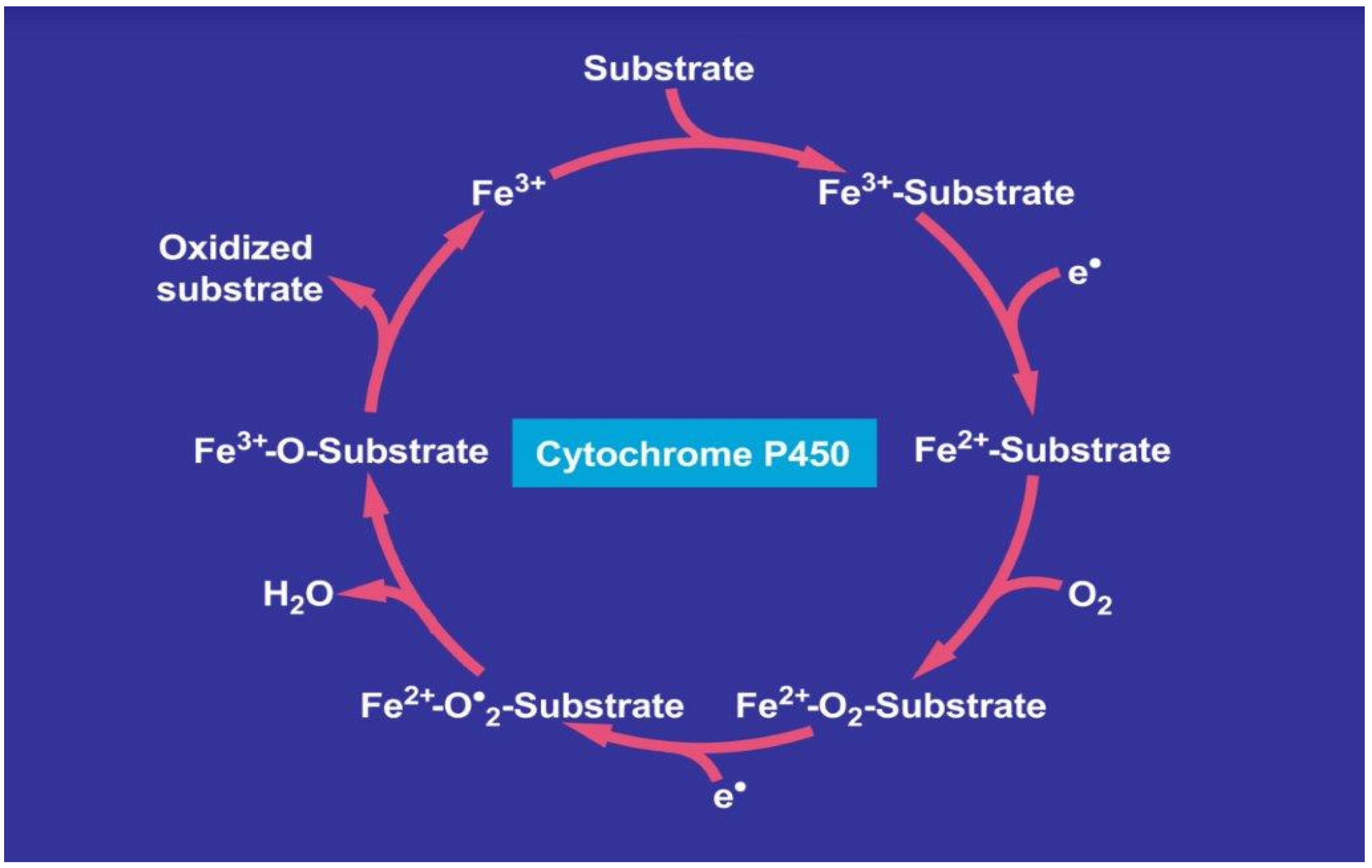 Cimb 44 00087 g003 Cimb 44 00087 g003