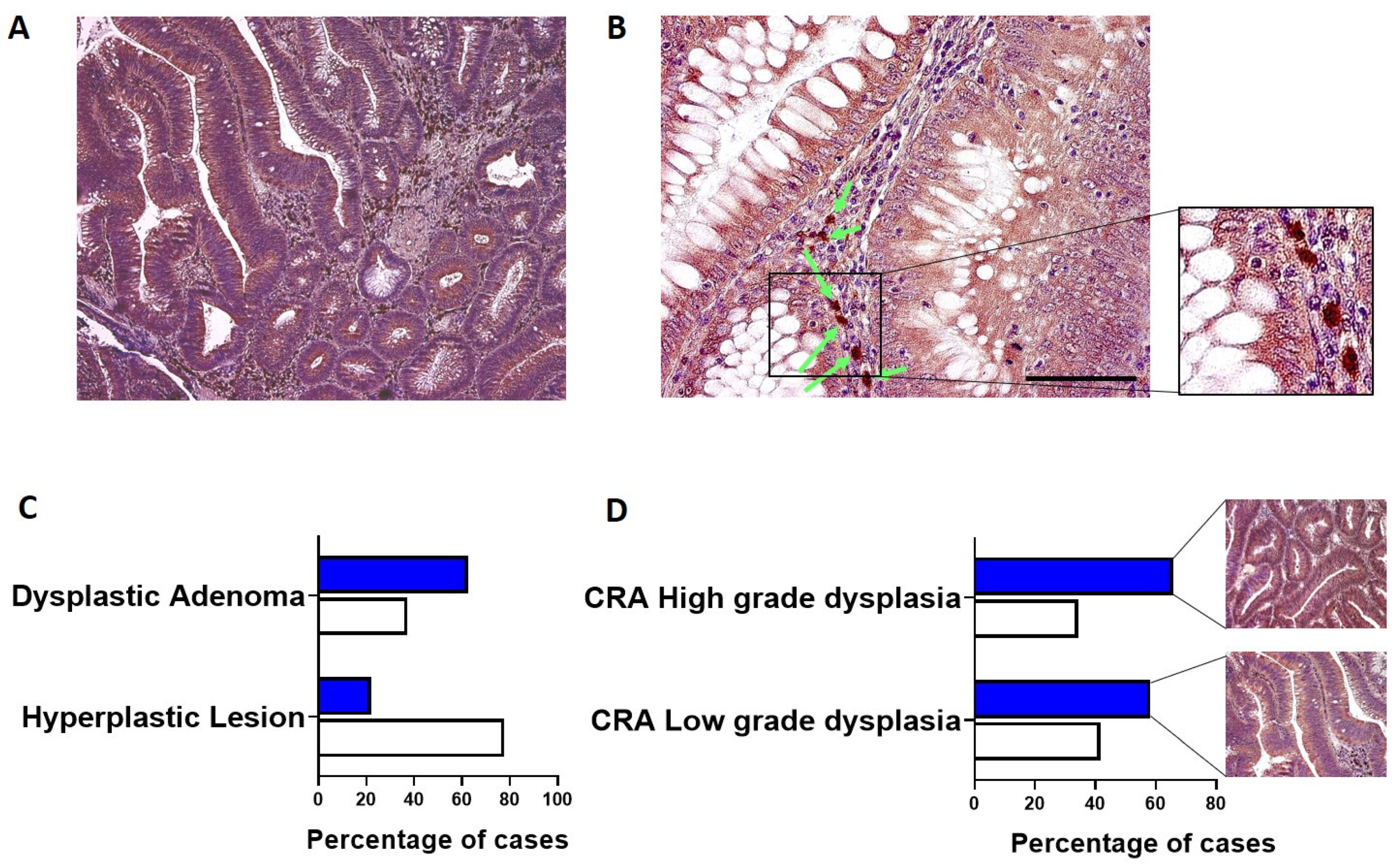 Cimb 44 00089 g001 550
