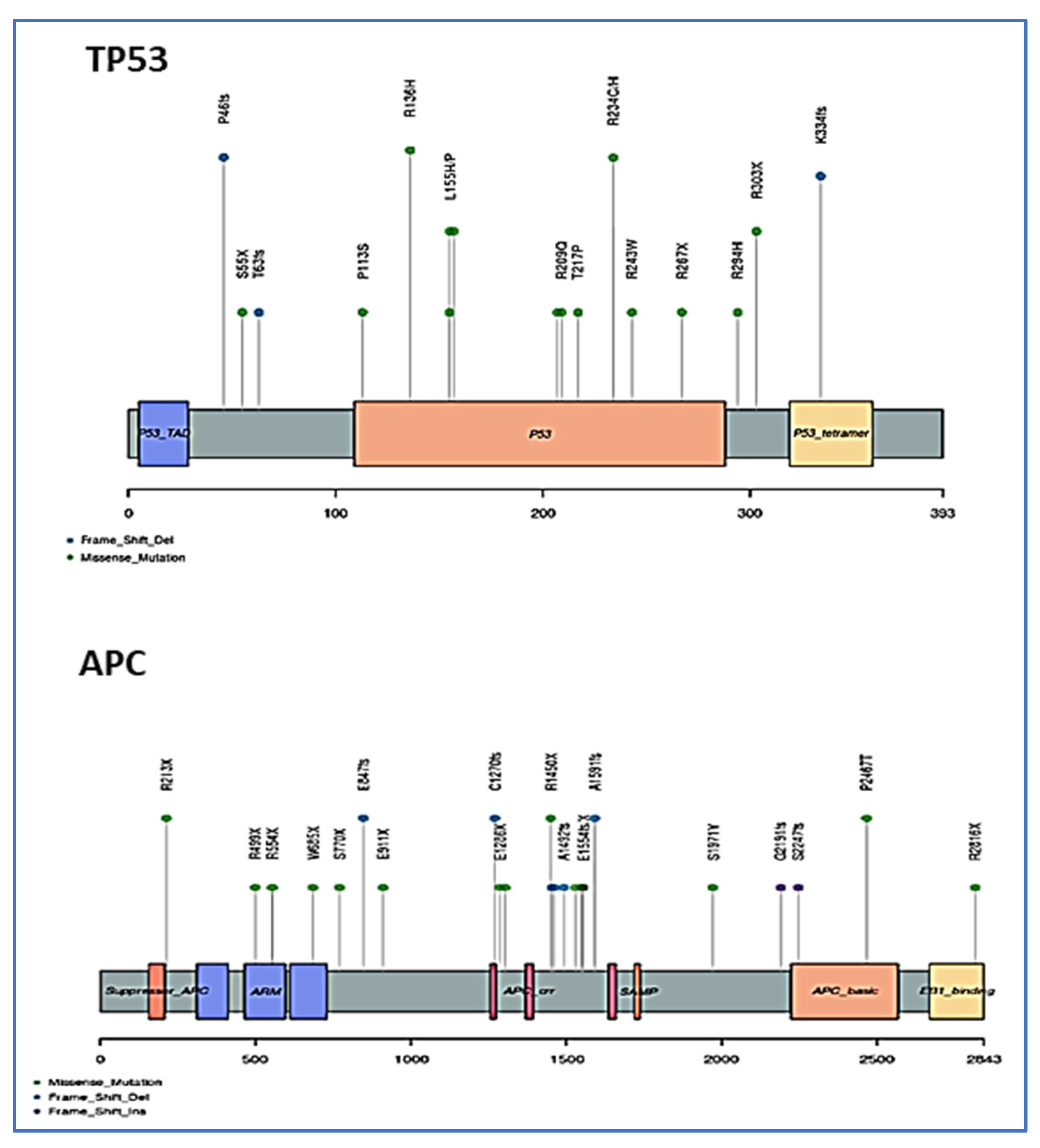 Cimb 44 00090 g003 550