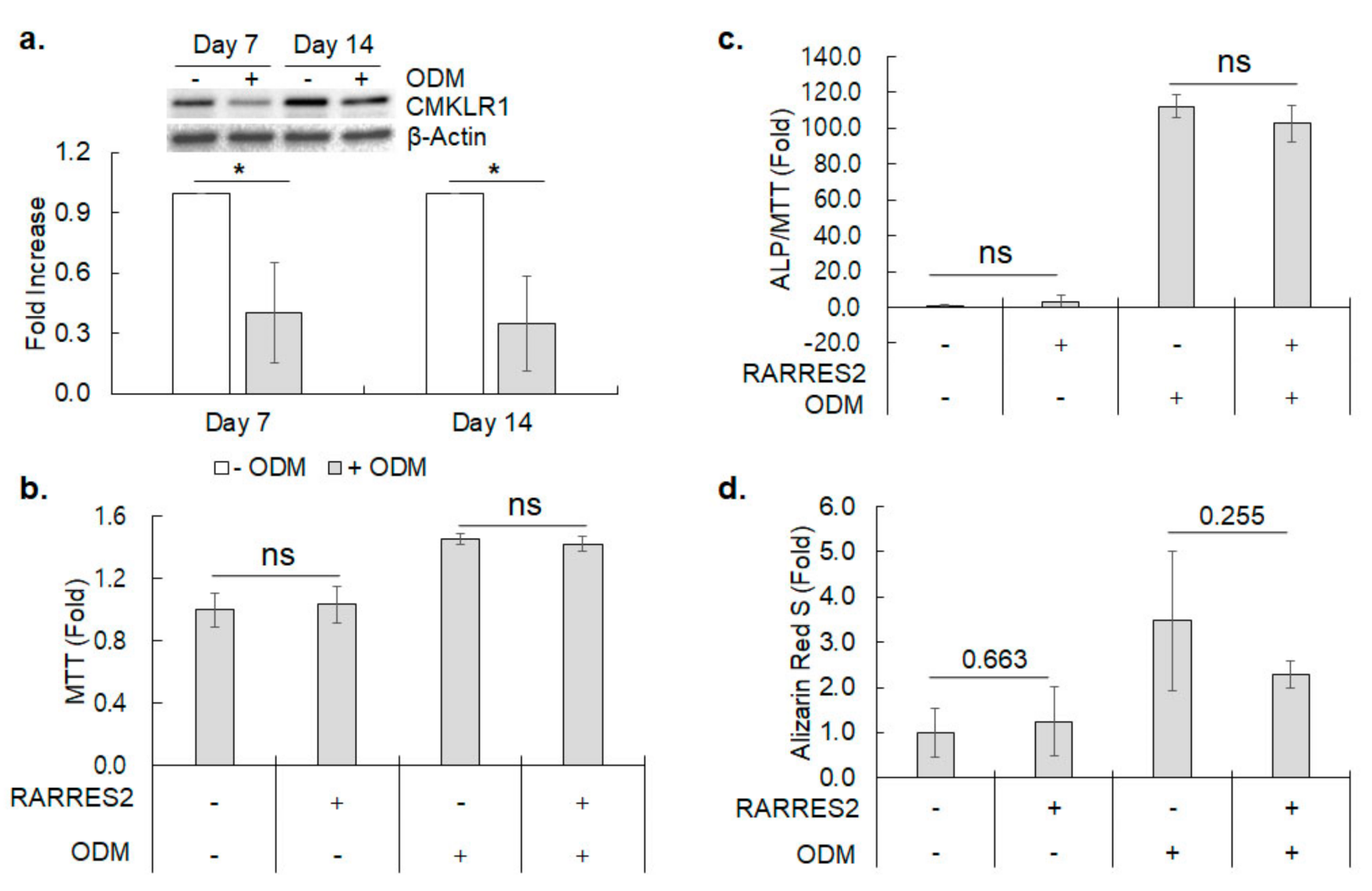 Cimb 44 00102 g006 550