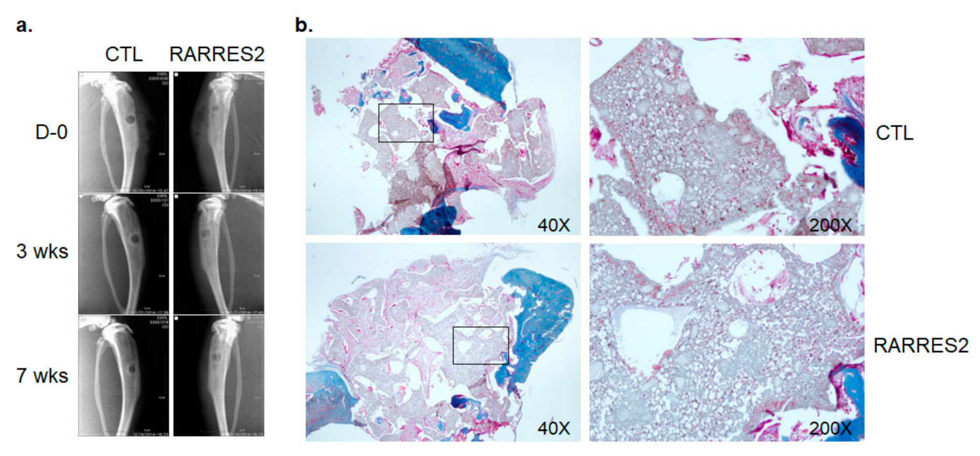 Cimb 44 00102 g007 550
