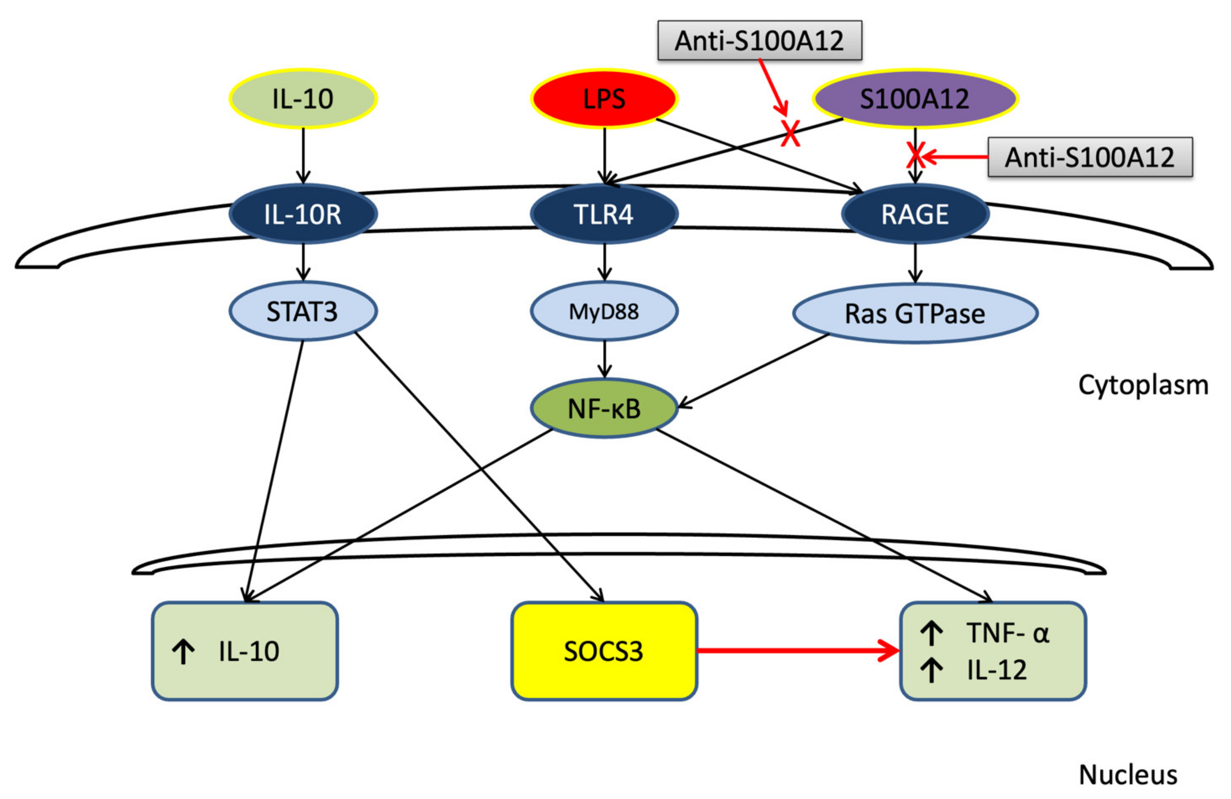 Cimb 44 00117 g003 Cimb 44 00117 g003