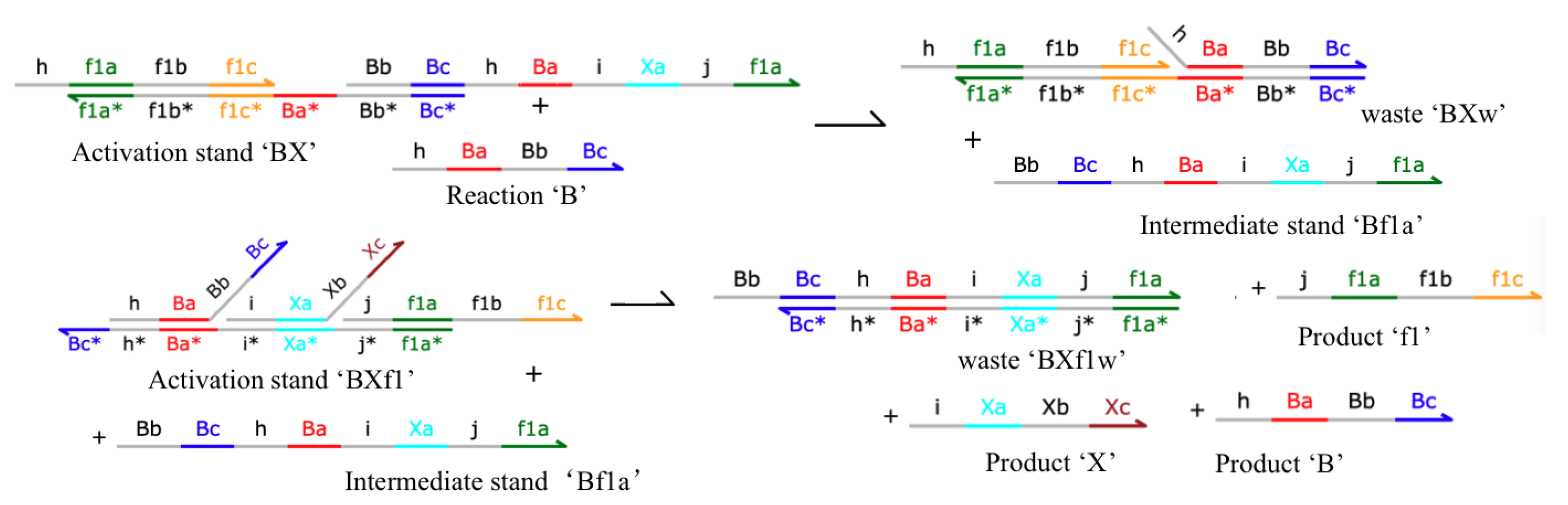 Cimb 44 00119 g003 550