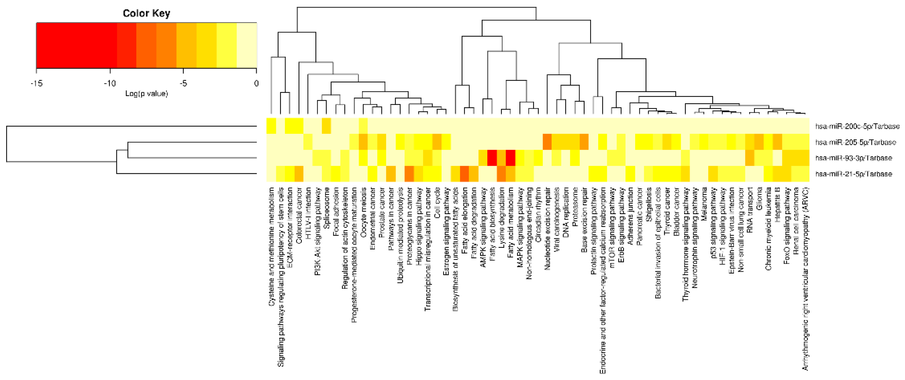 Cimb 44 00121 g006 Cimb 44 00121 g006