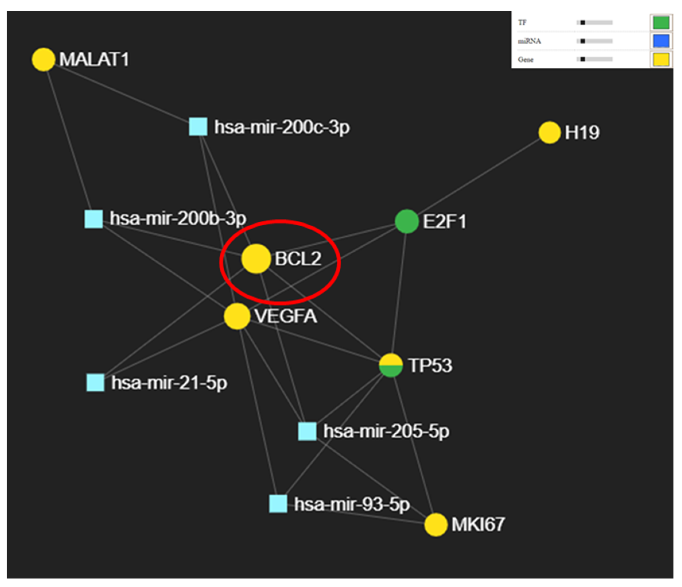 Cimb 44 00121 g007 Cimb 44 00121 g007