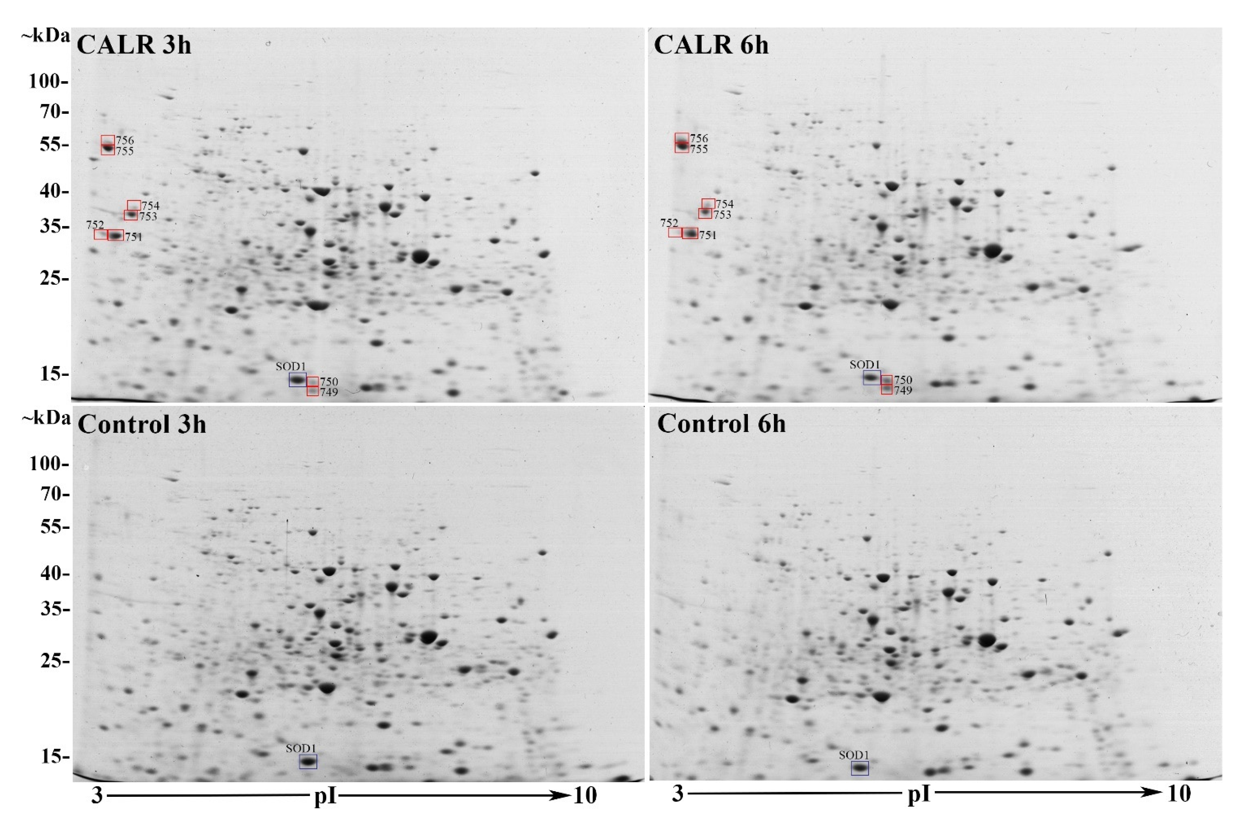 Cimb 44 00122 g003 Cimb 44 00122 g003