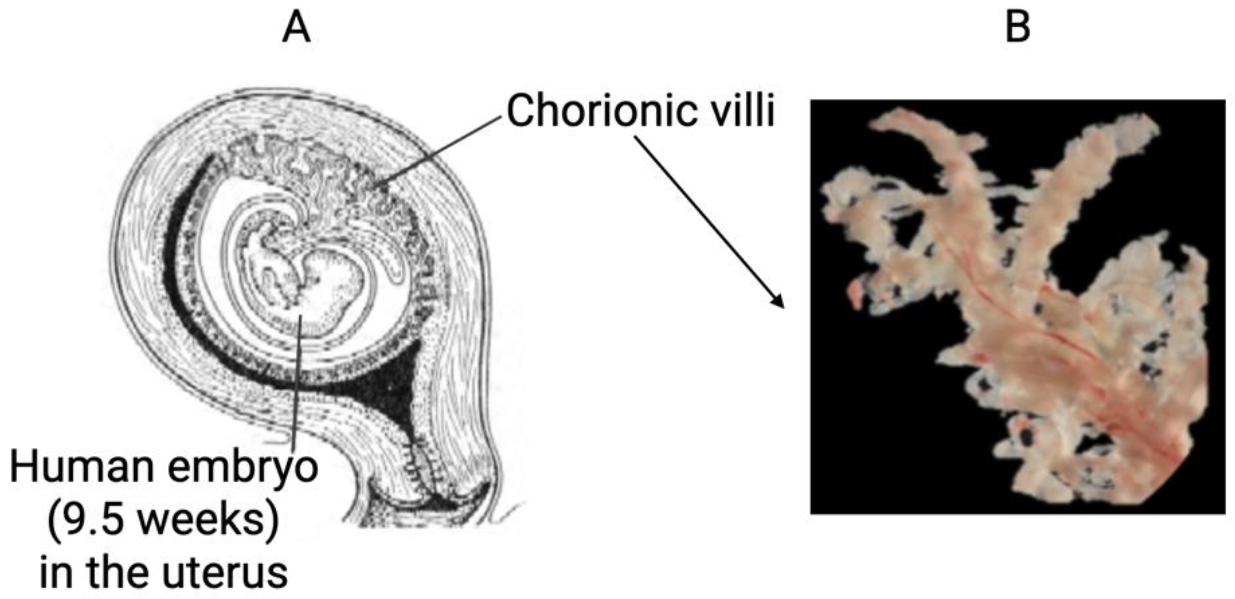 Cimb 44 00140 g001 Cimb 44 00140 g001