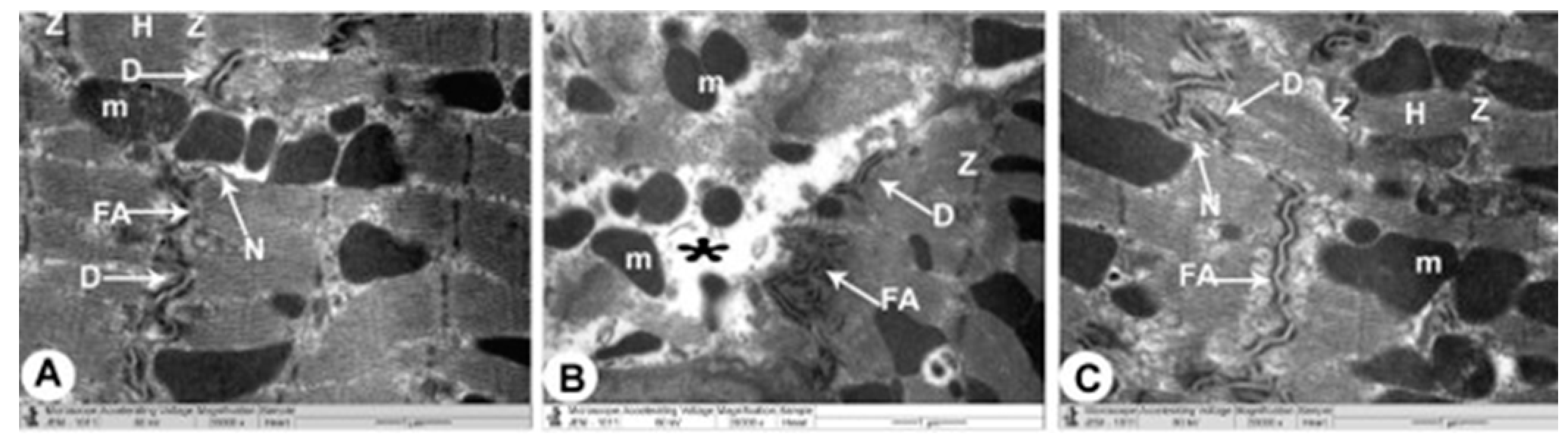 Cimb 44 00163 g004 Cimb 44 00163 g004
