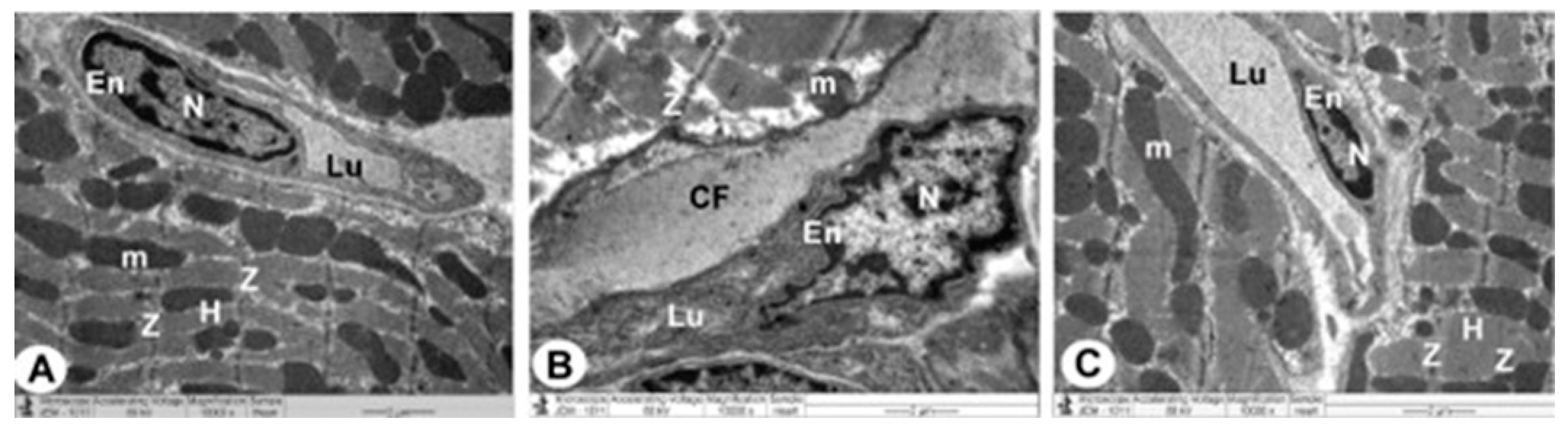 Cimb 44 00163 g005 Cimb 44 00163 g005