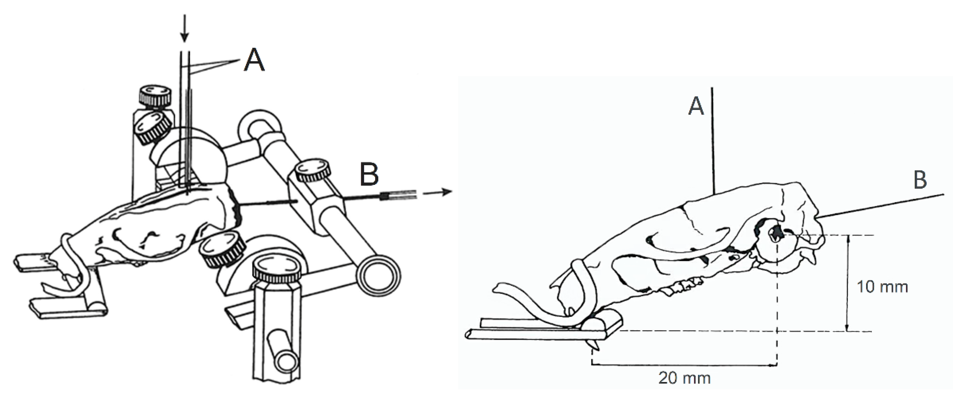 Cimb 44 00164 sch001