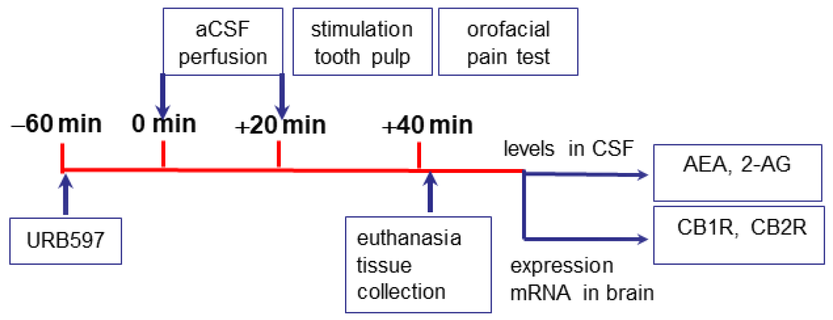 Cimb 44 00164 sch003