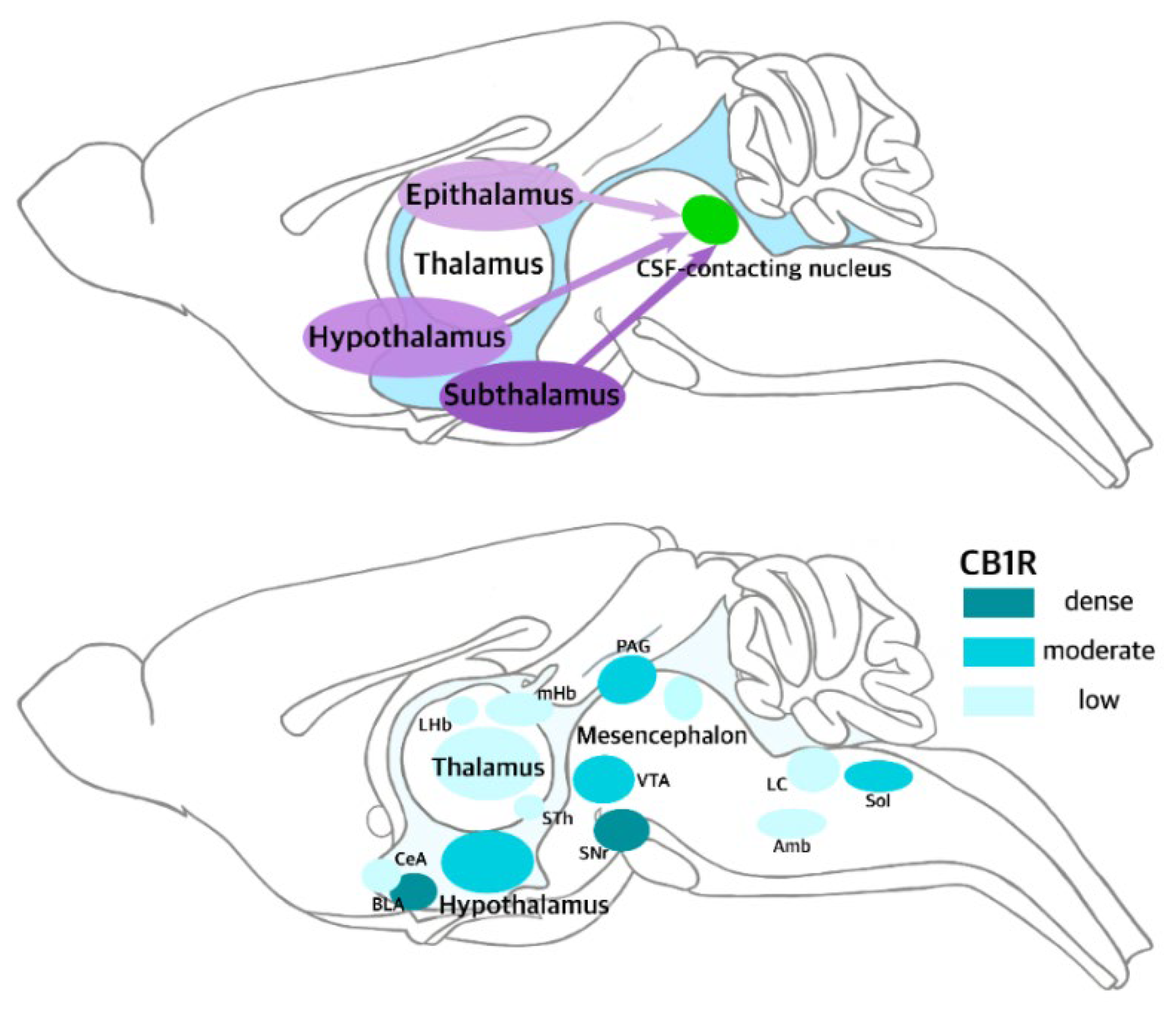 Cimb 44 00164 sch004