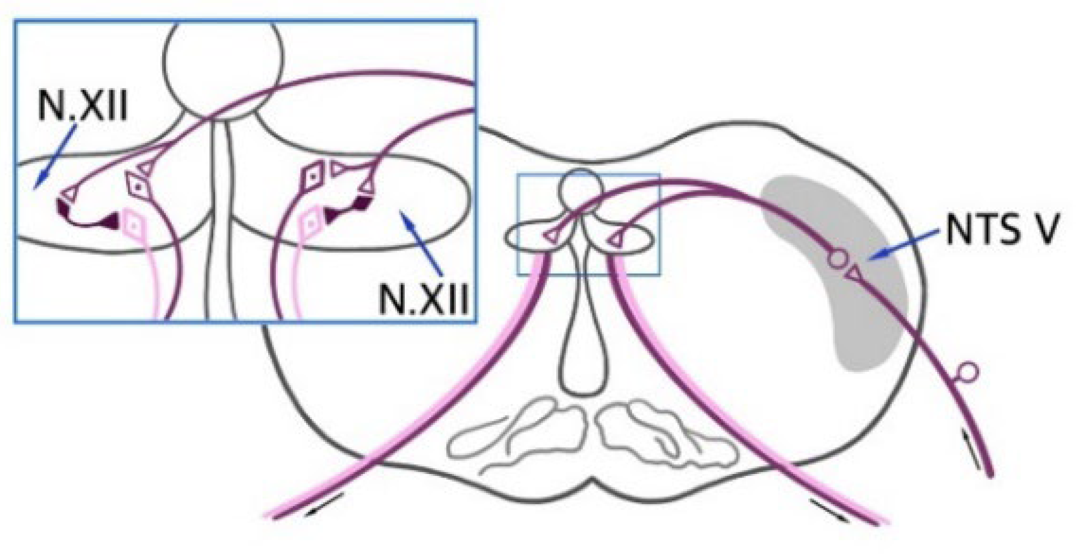 Cimb 44 00164 sch005