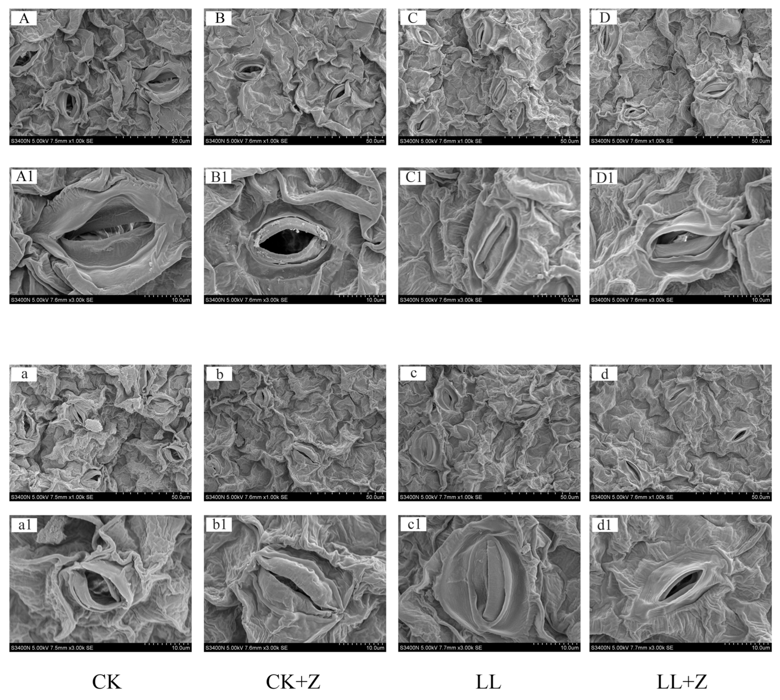 Cimb 44 00168 g002 550