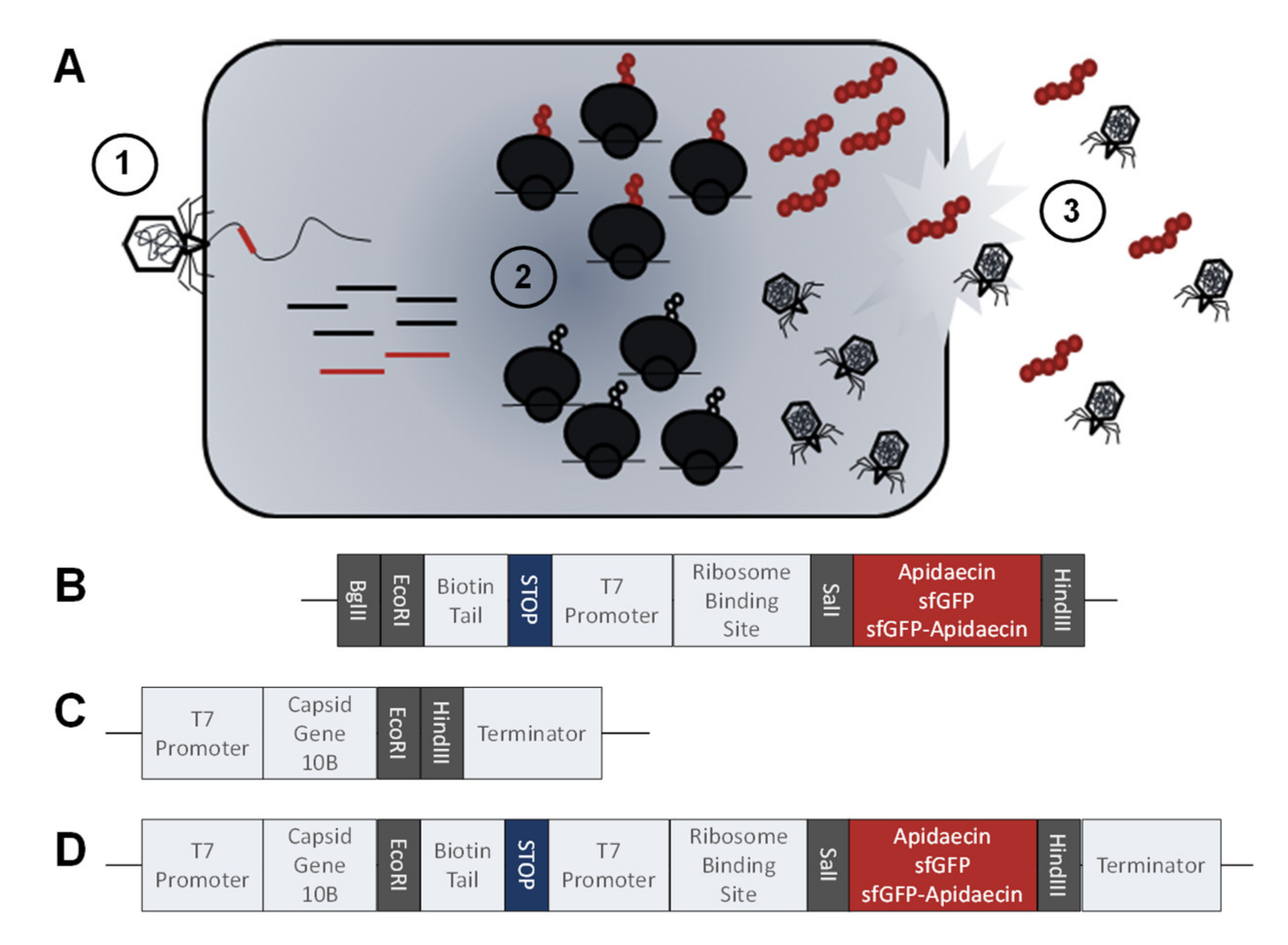 Cimb 44 00174 g001 550