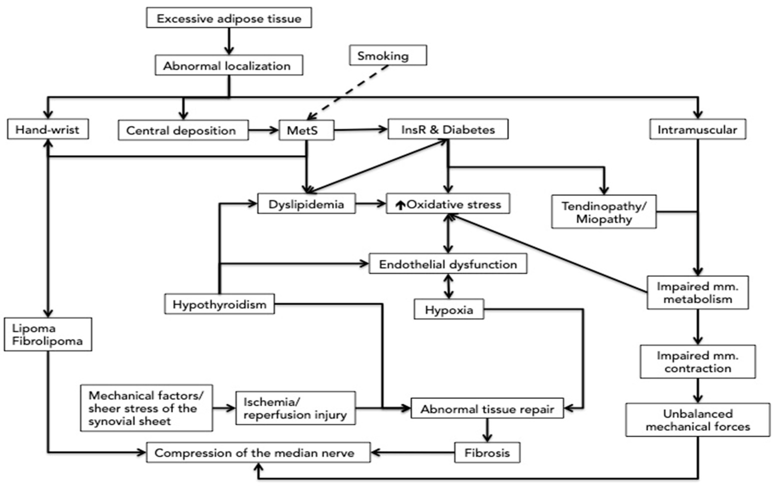 Cimb 44 00181 g001 Cimb 44 00181 g001