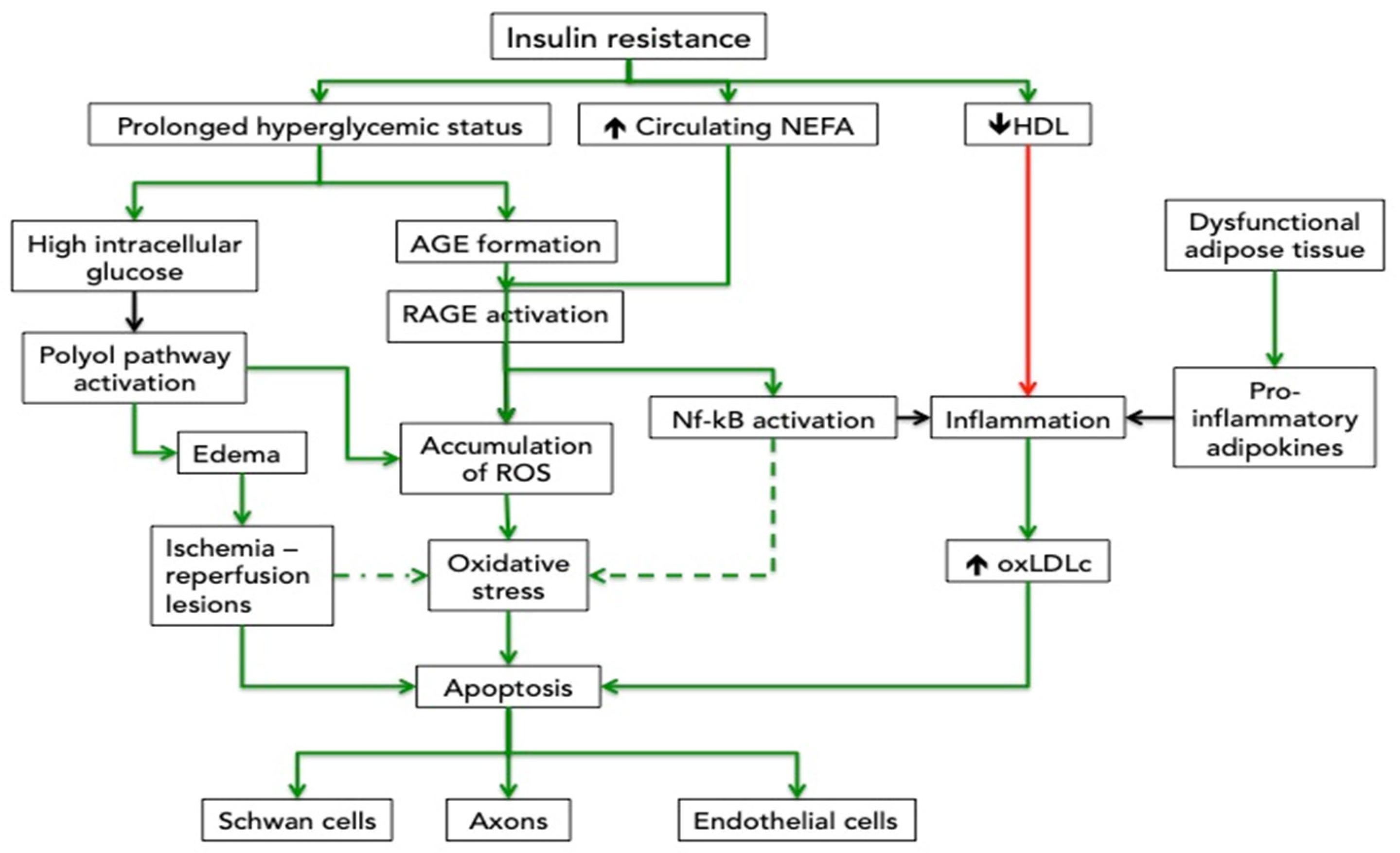 Cimb 44 00181 g002 Cimb 44 00181 g002
