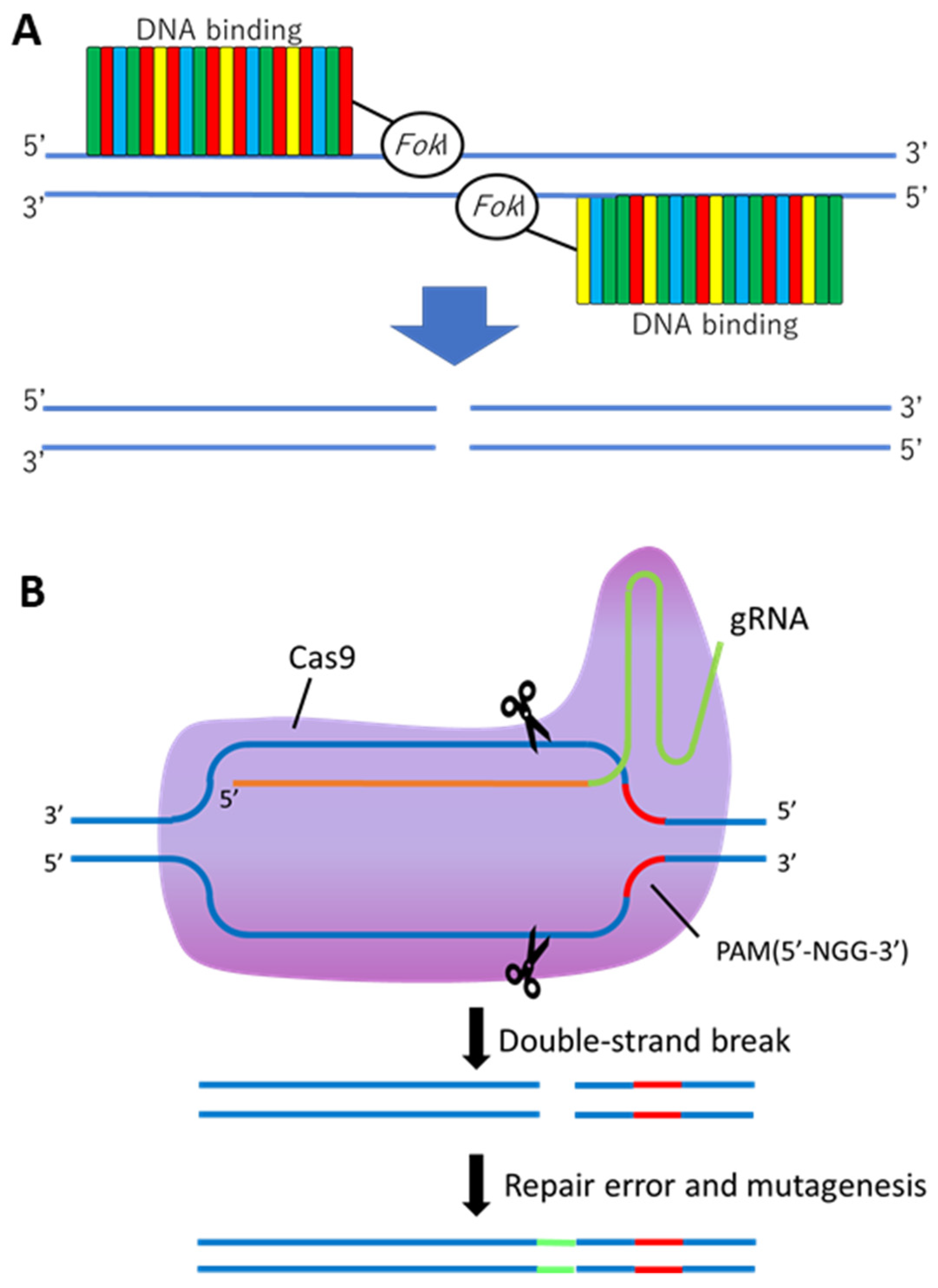 Cimb 44 00182 g001 550