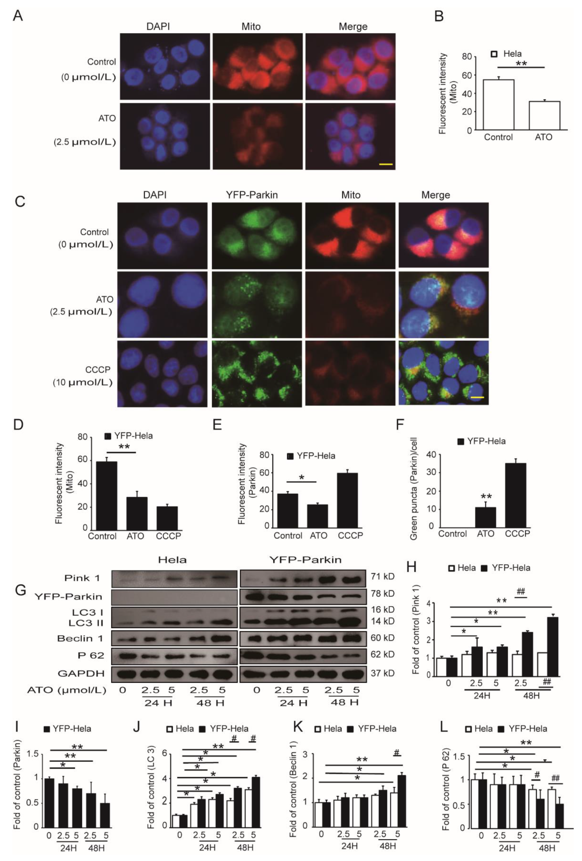 Cimb 44 00189 g004 Cimb 44 00189 g004