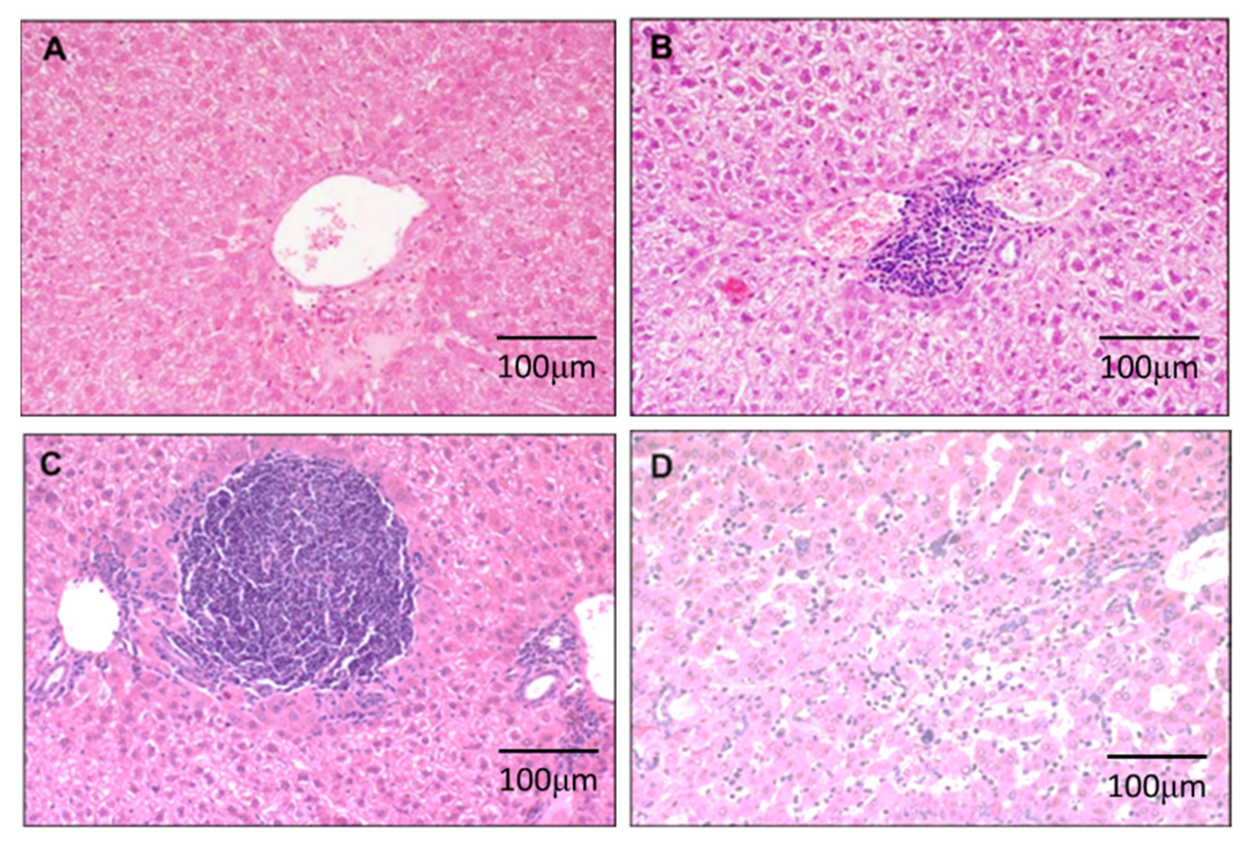 Cimb 44 00198 g001 550