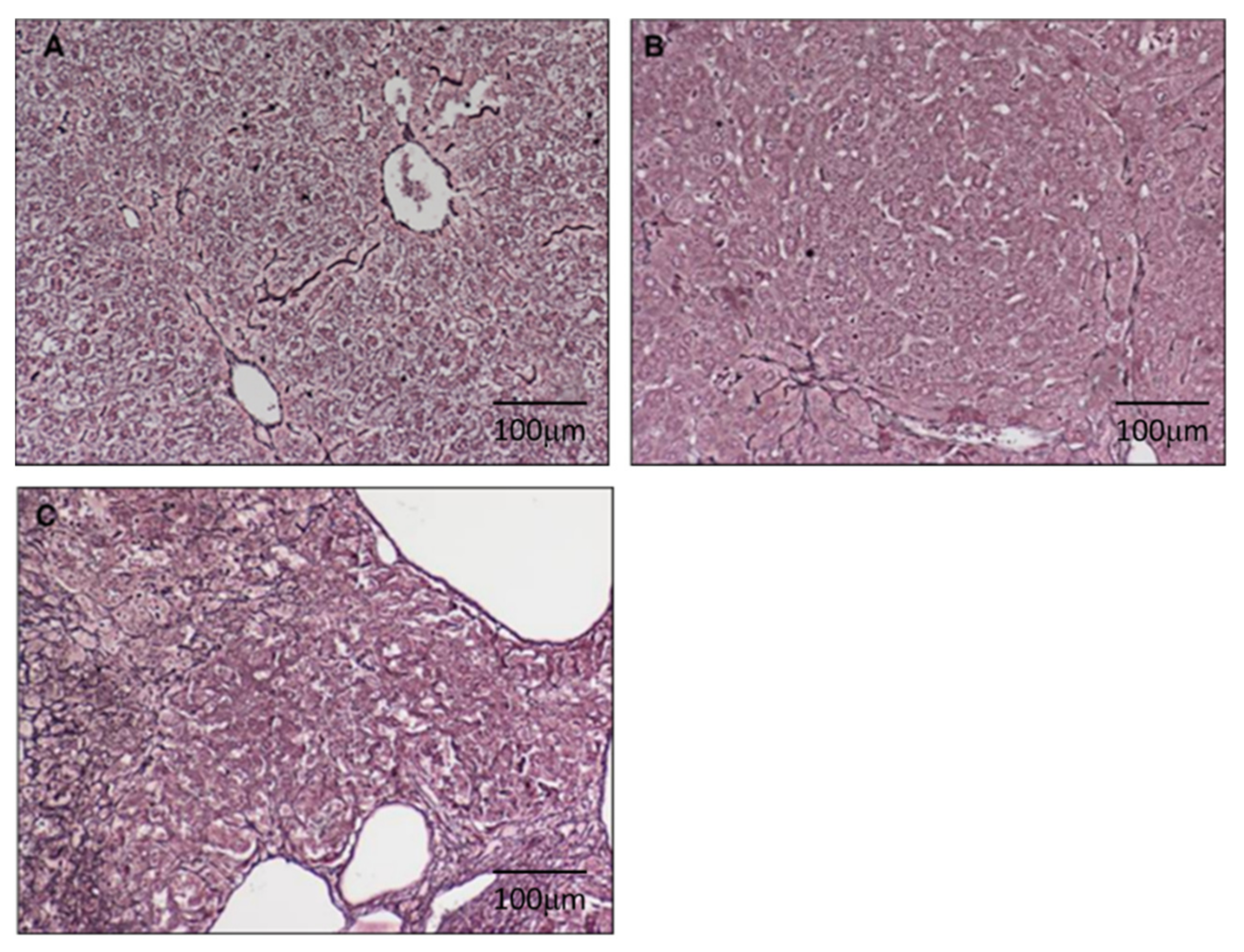 Cimb 44 00198 g002 550