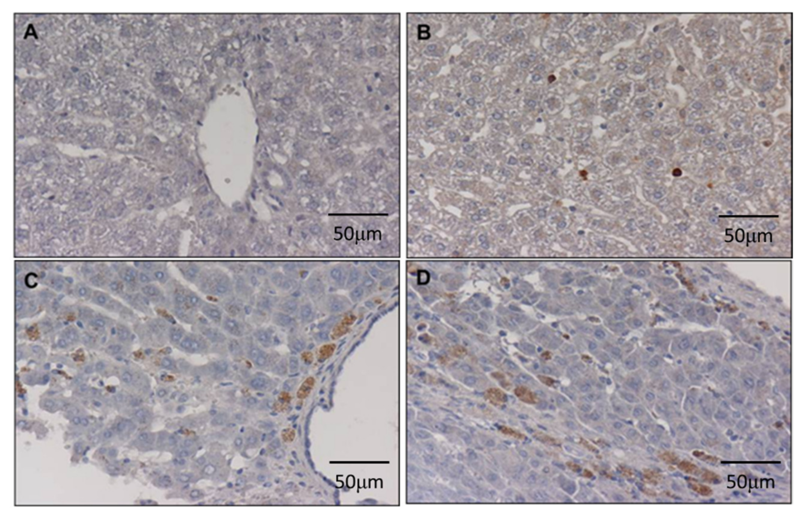 Cimb 44 00198 g003 550